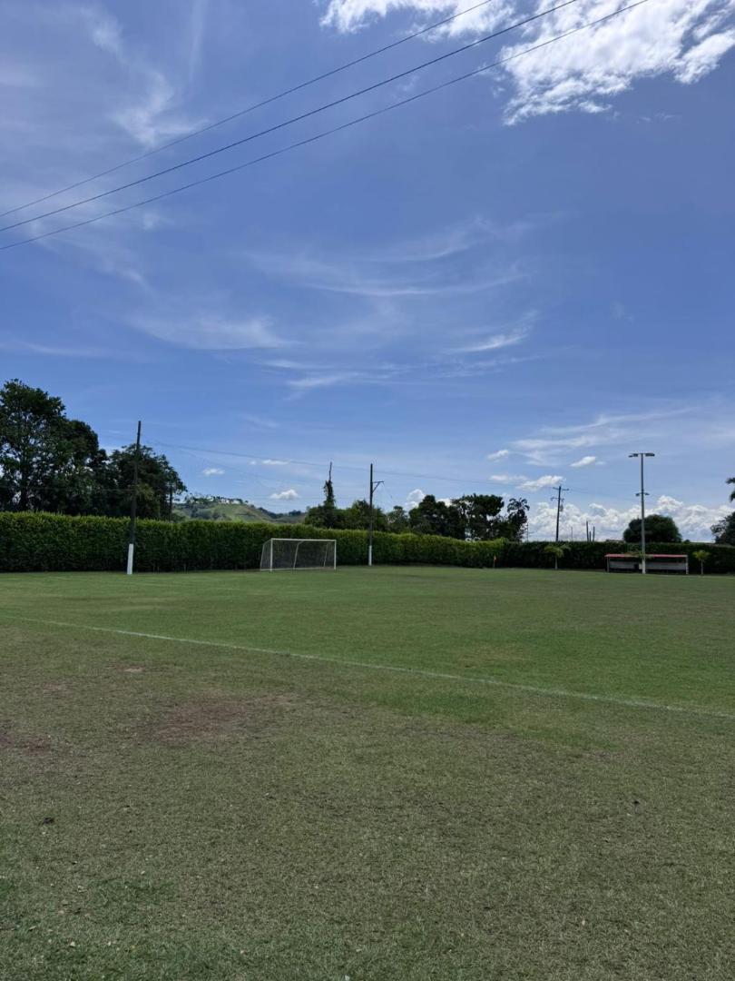 Hotel Palo Grande CF Pereira