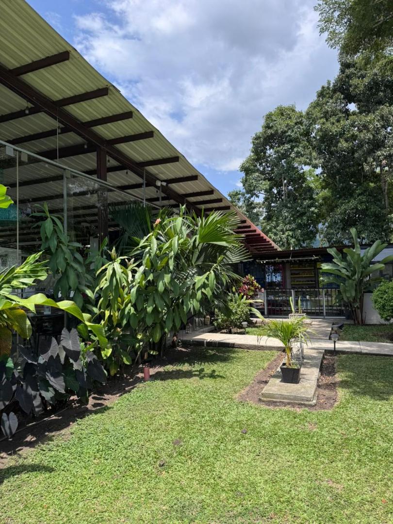 Hotel Palo Grande CF Pereira