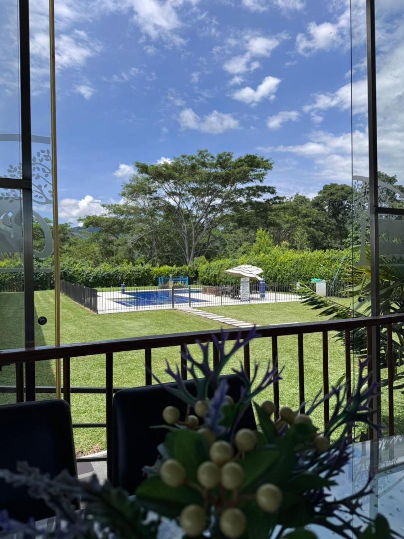 Hotel Palo Grande CF Pereira