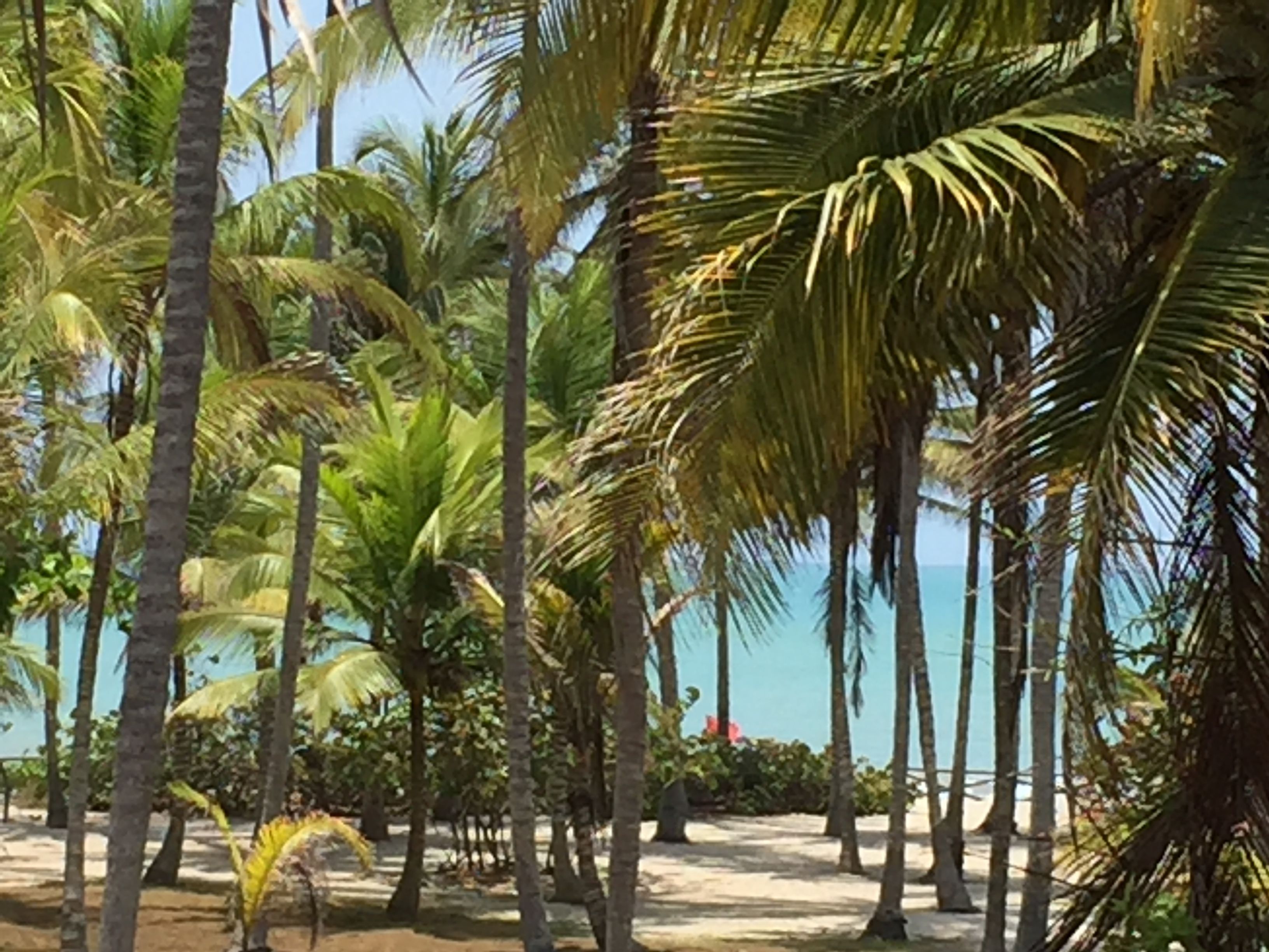 Chiniu Hotel Boutique