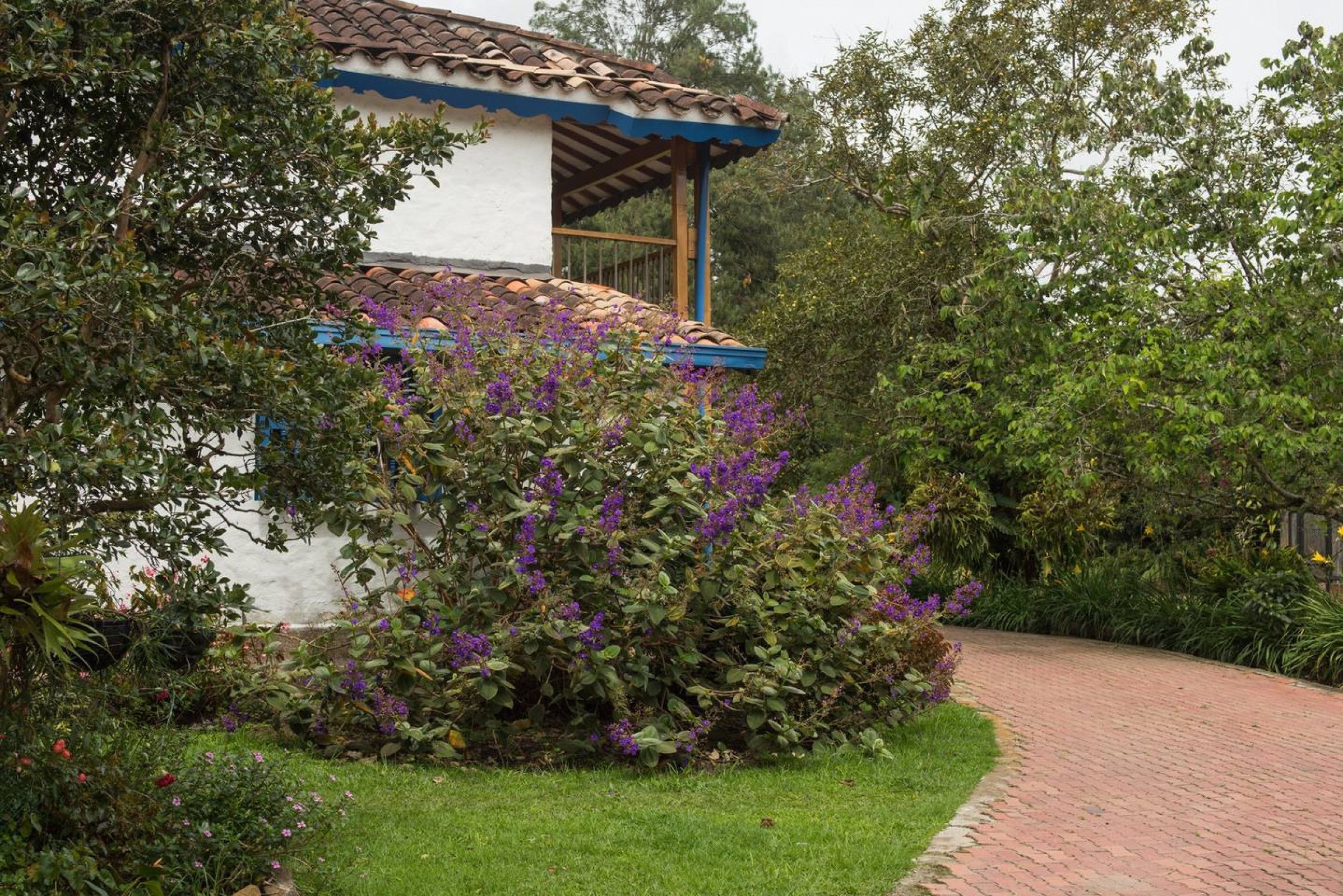 Finca Llanogrande By Nomad Guru