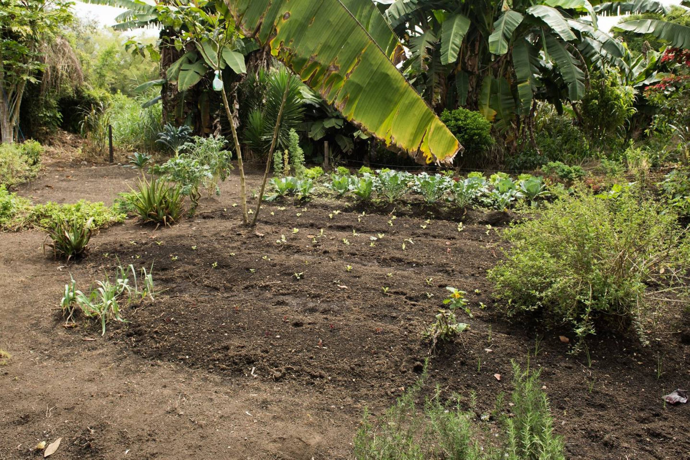 Finca Llanogrande By Nomad Guru