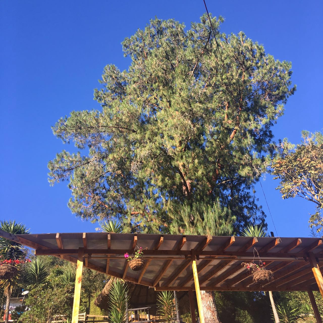 Santo Tomás Finca Hotel