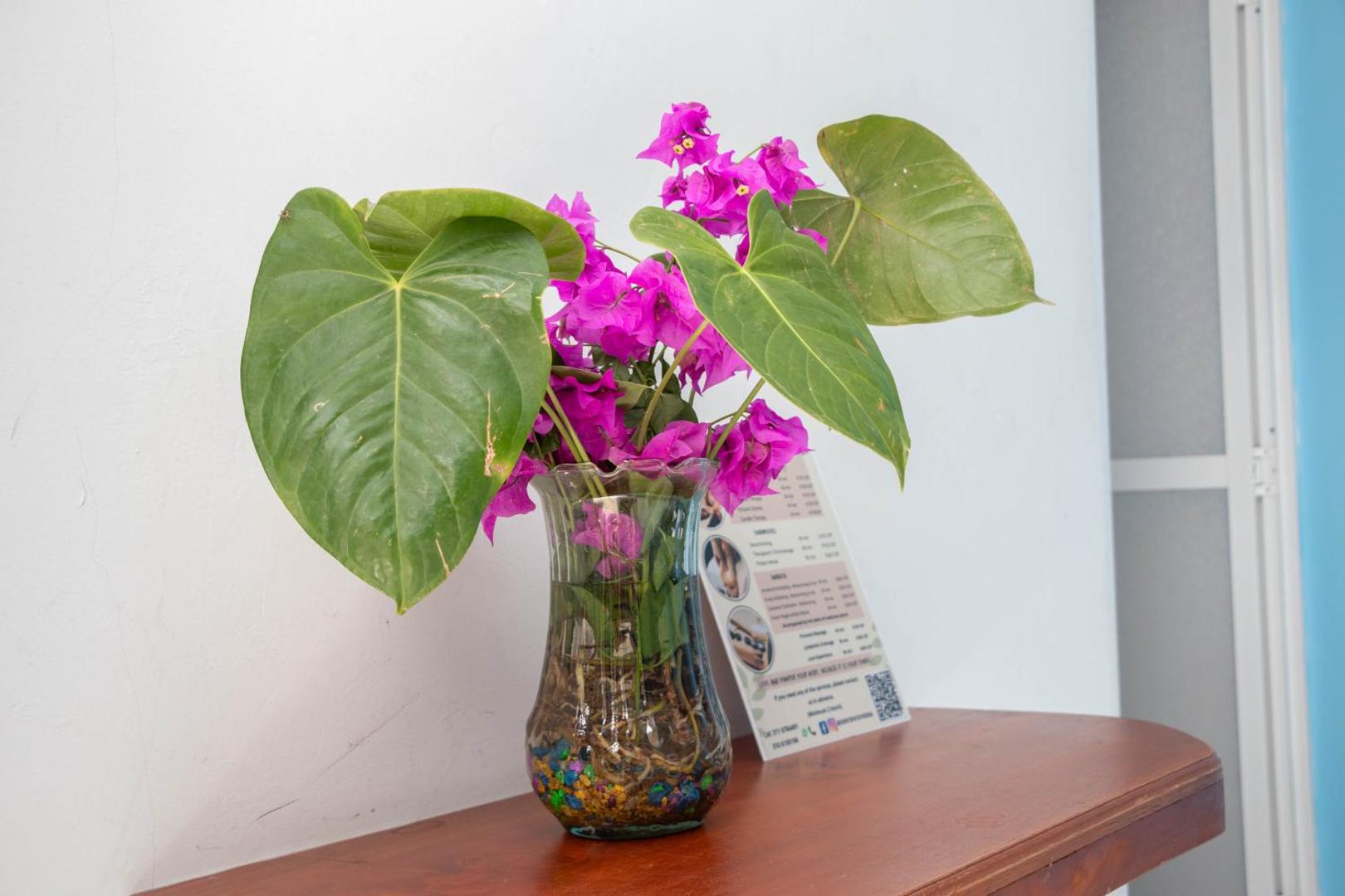 Eco Hostal Manakin Tayrona