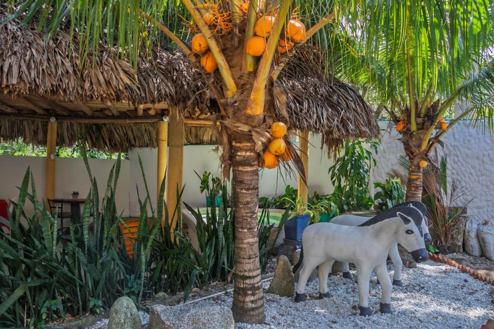 Eco Hostal Manakin Tayrona