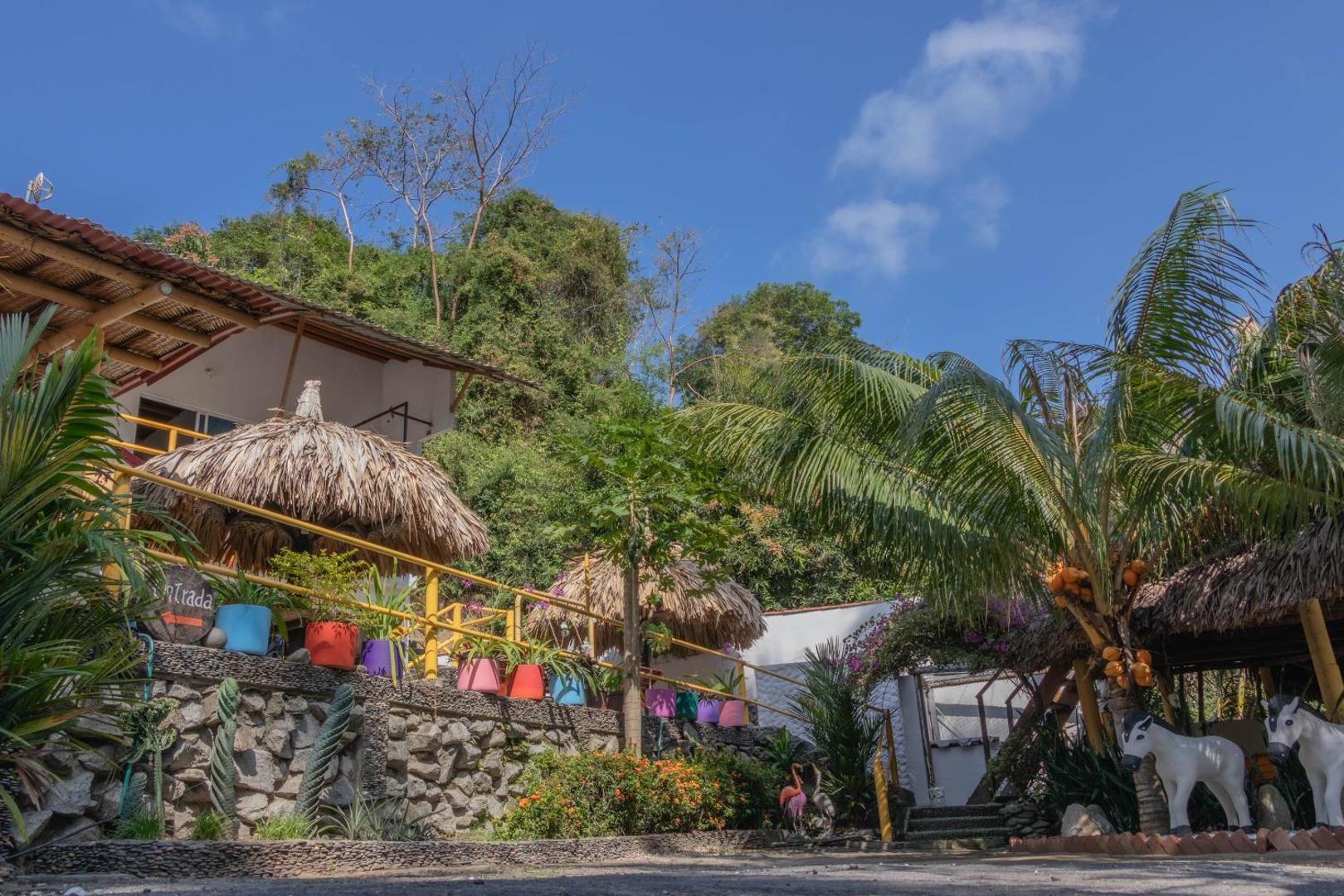 Eco Hostal Manakin Tayrona