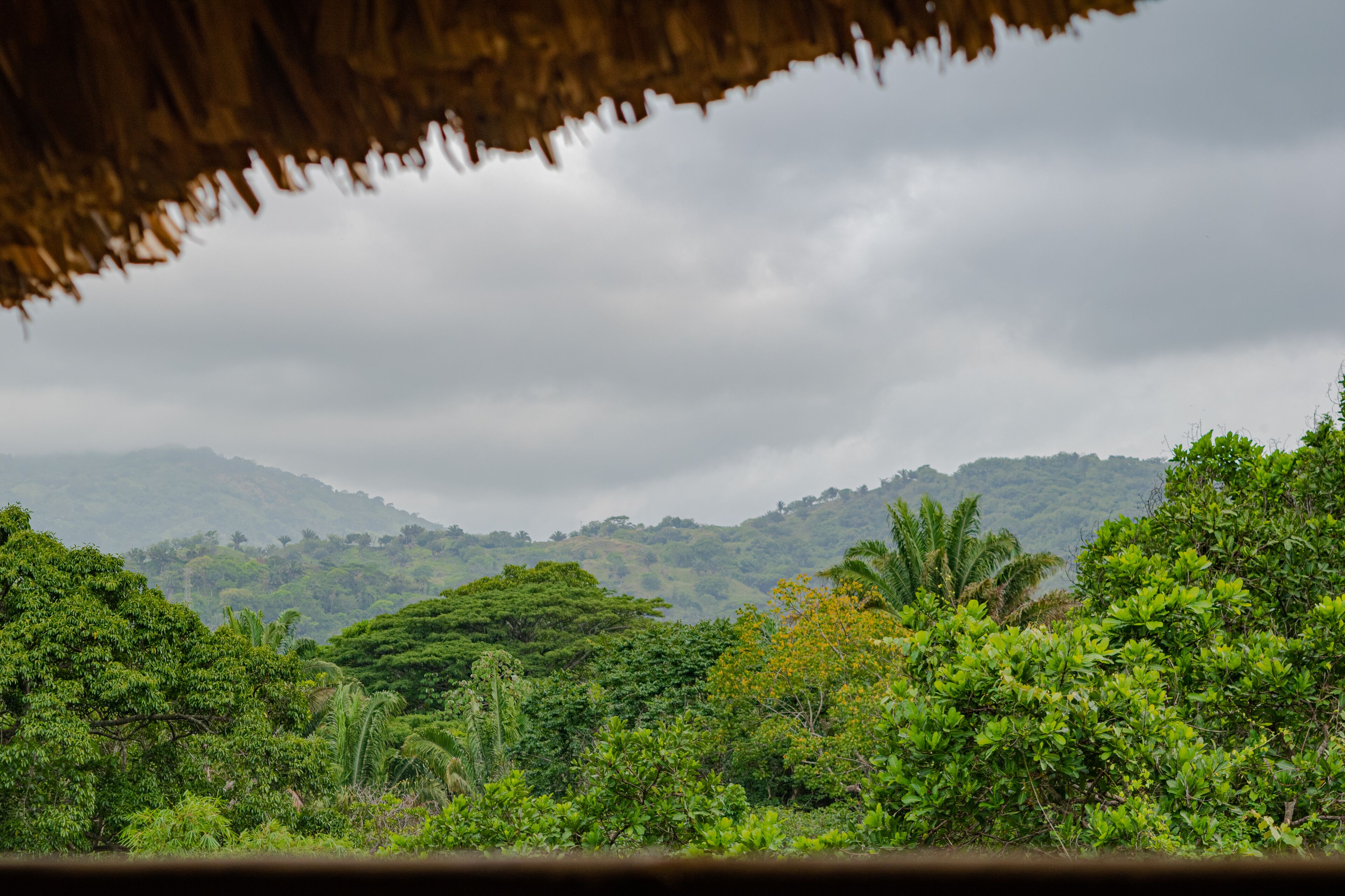 Cabaña Mirador del Bosque Tayrona