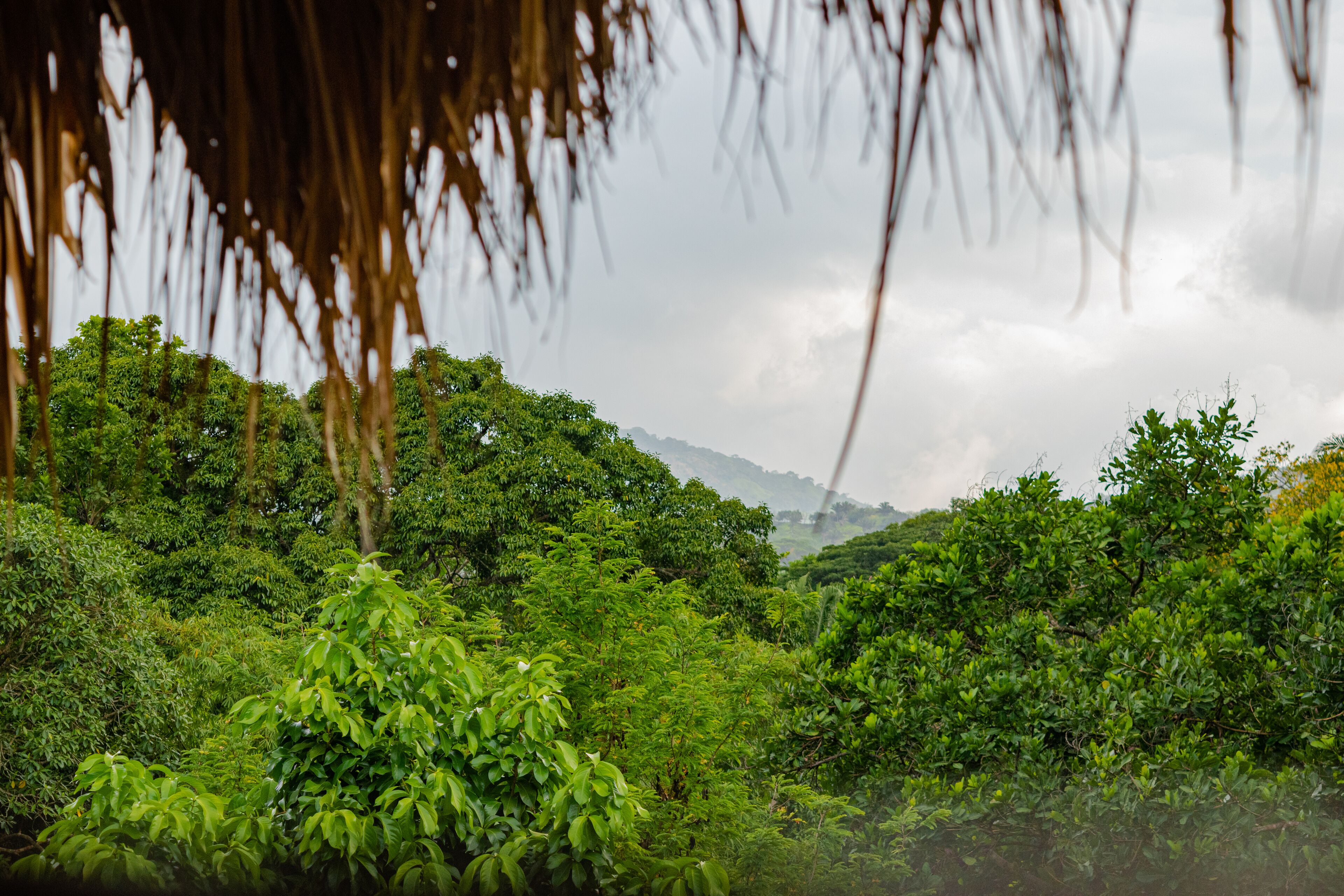 Cabaña Mirador del Bosque Tayrona