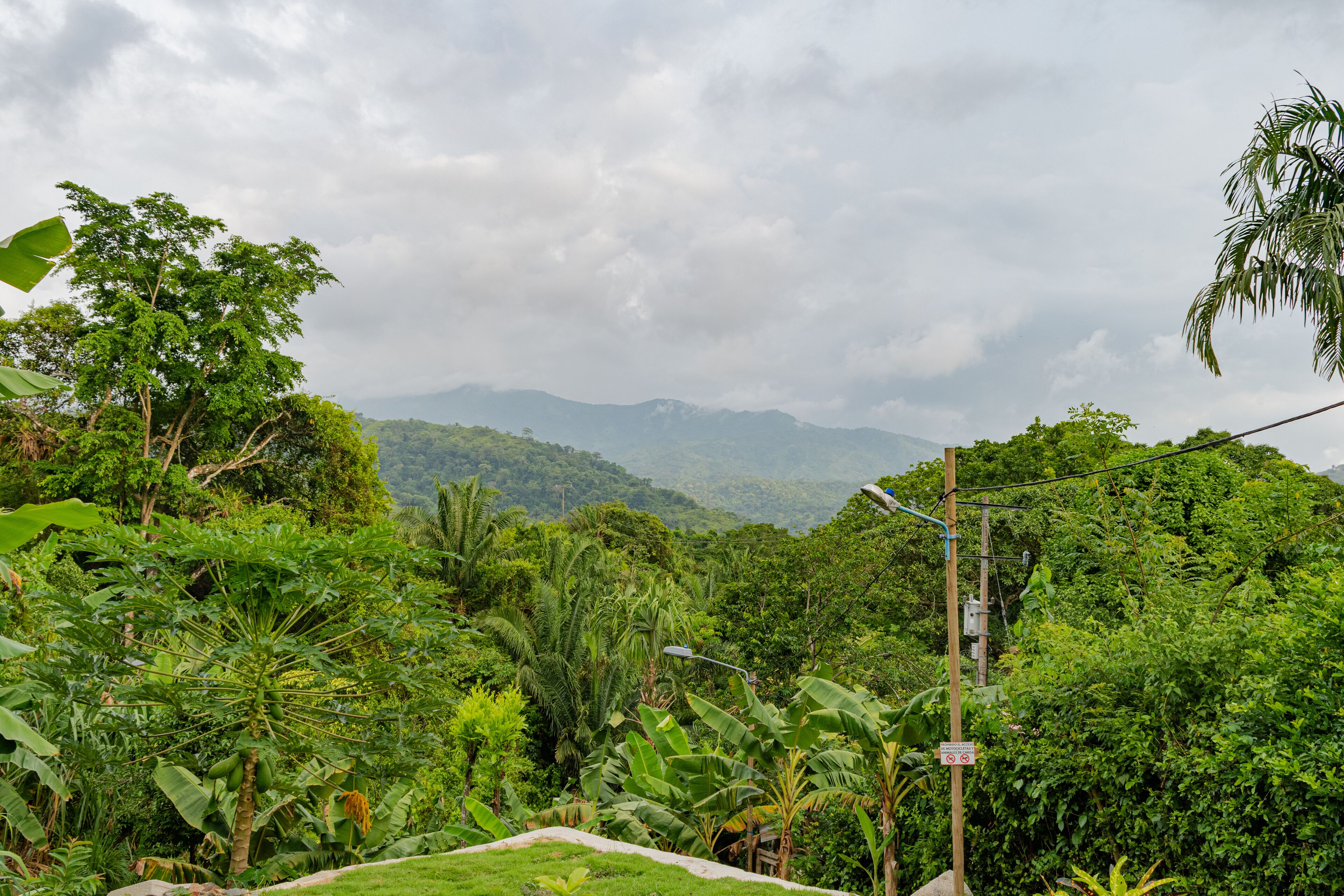 Cabaña Mirador del Bosque Tayrona