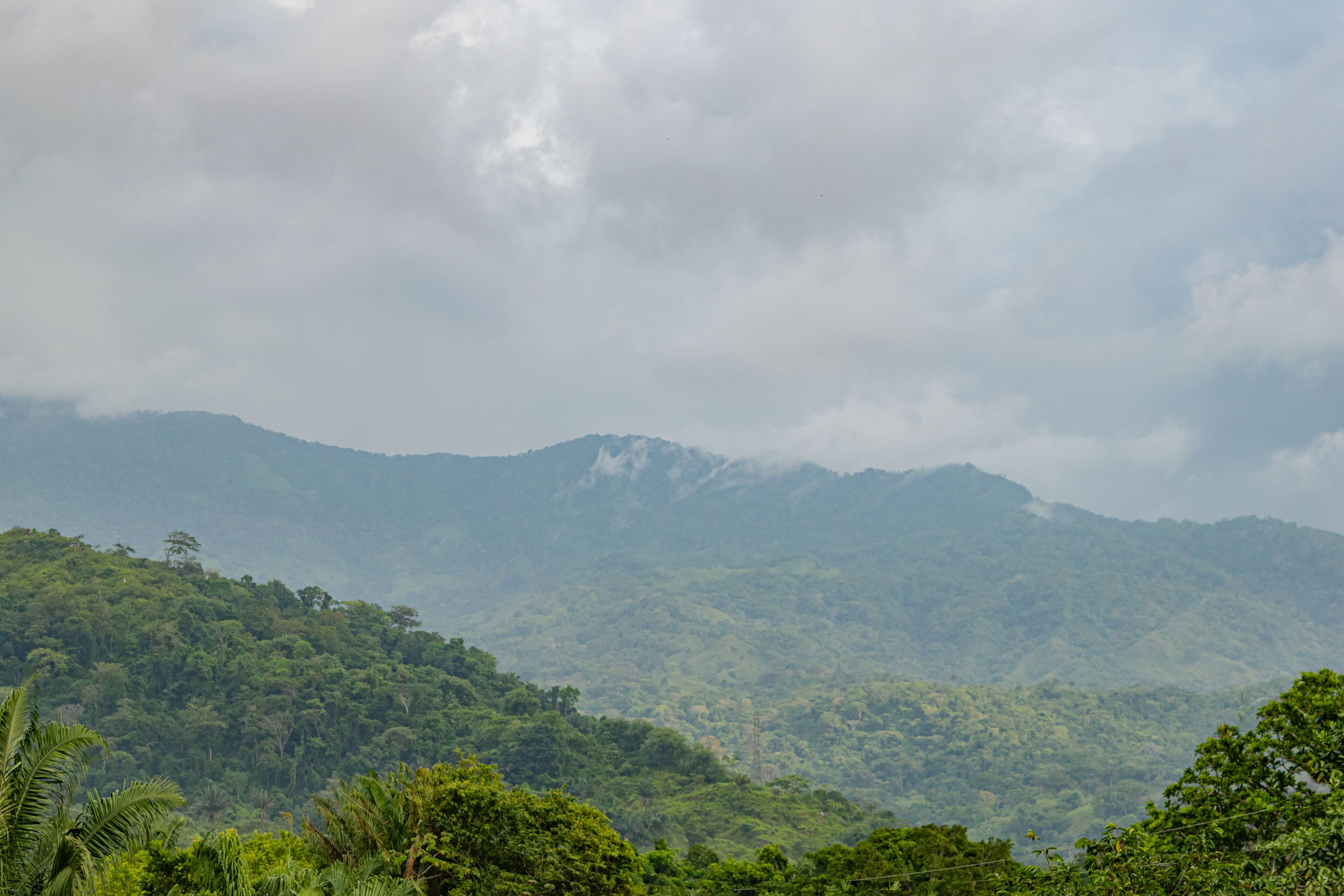 Cabaña Mirador del Bosque Tayrona