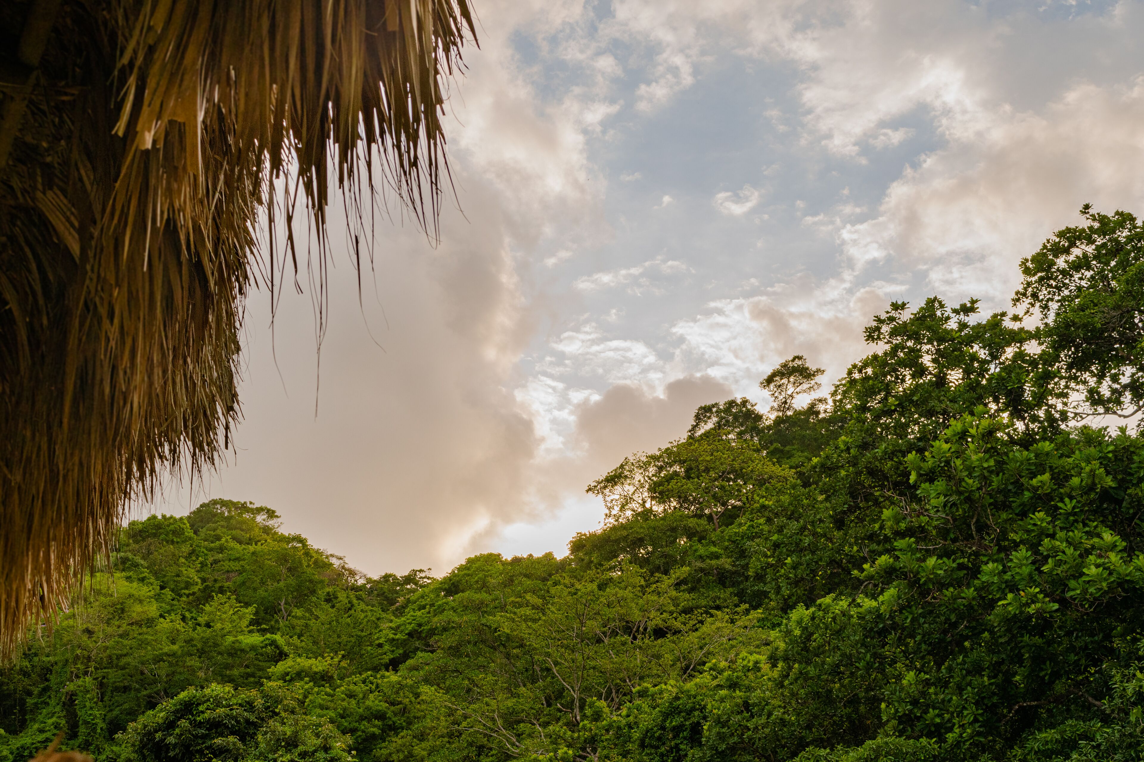 Cabaña Mirador del Bosque Tayrona
