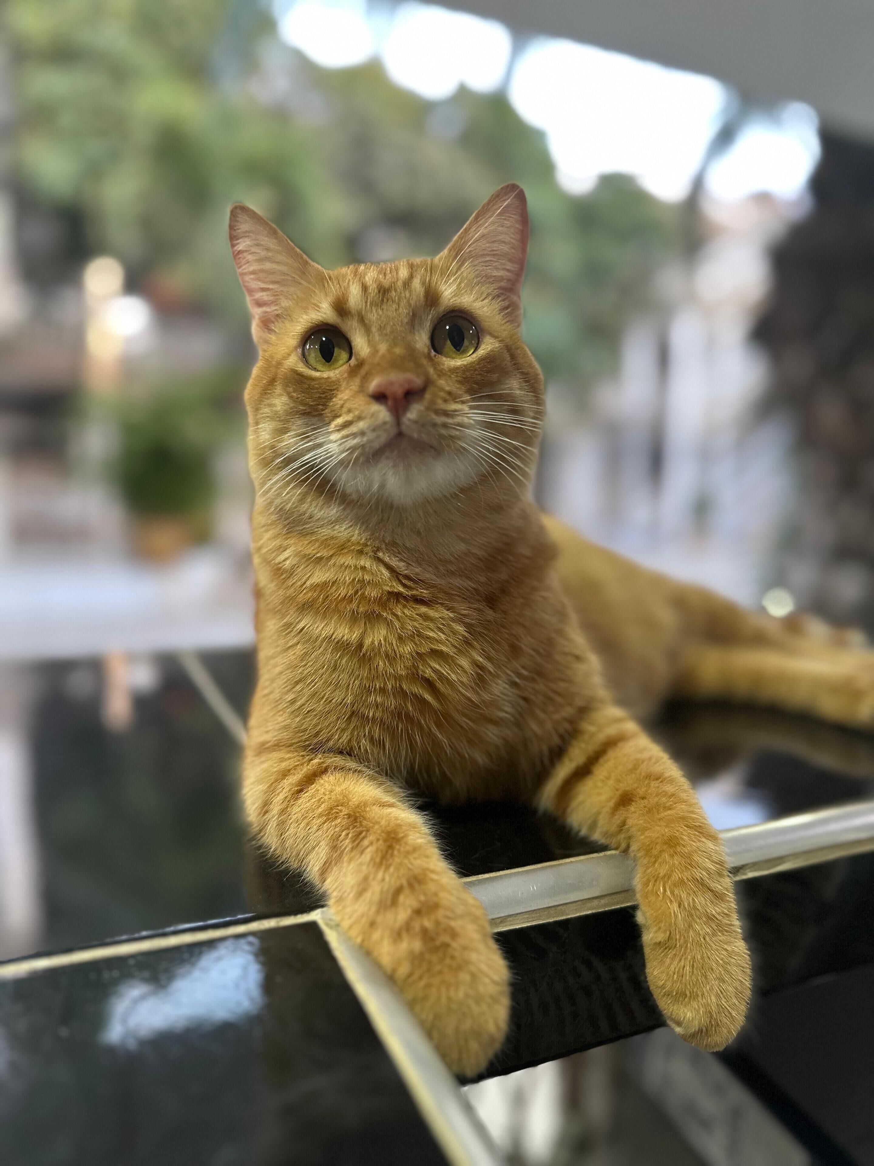 SG Hotel Castillo Aqua