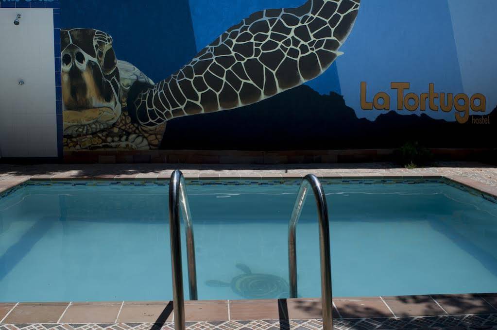 La Tortuga Hostel