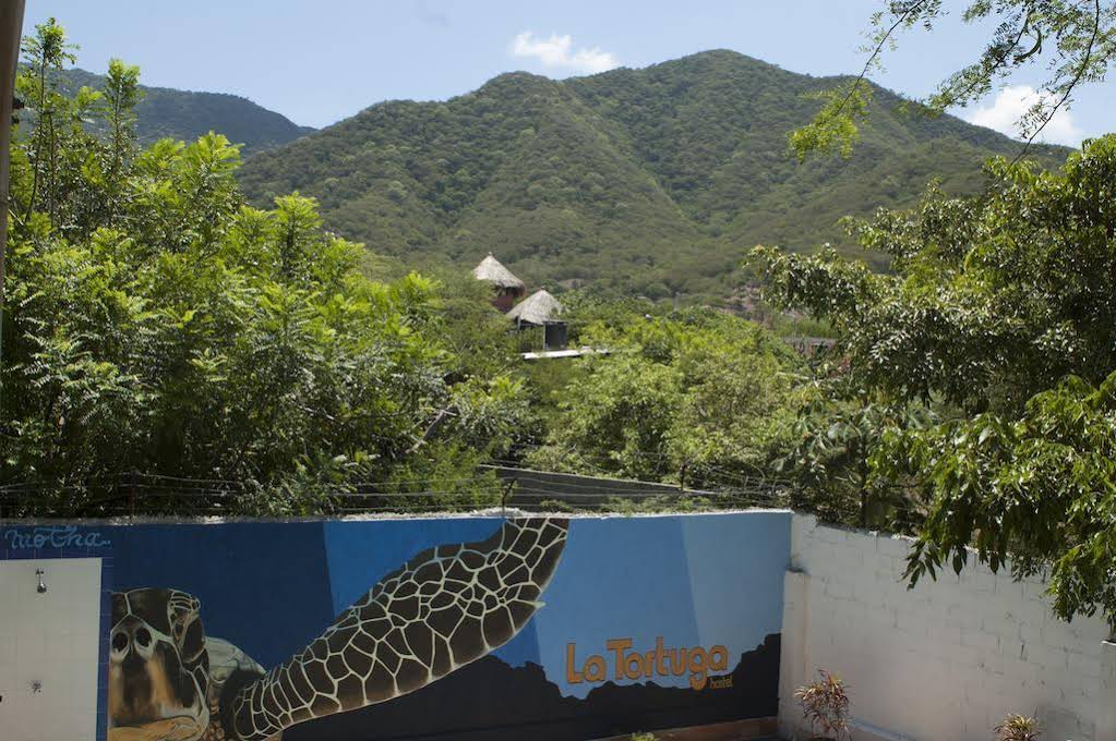 La Tortuga Hostel
