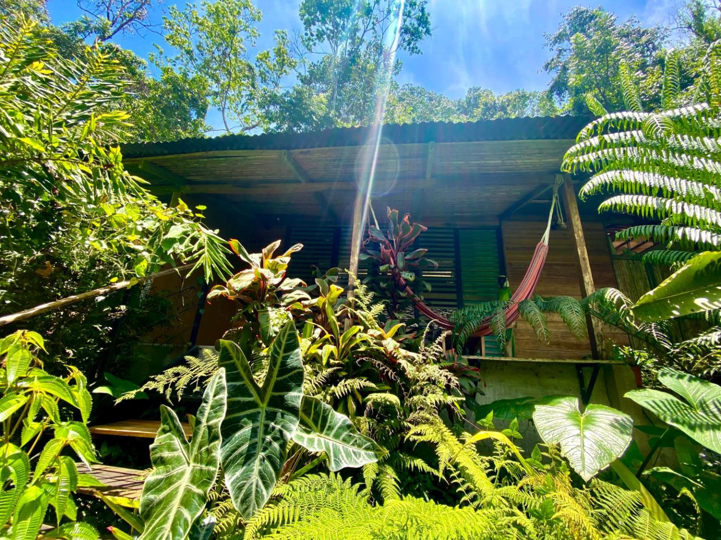 La Shamana Ecolodge