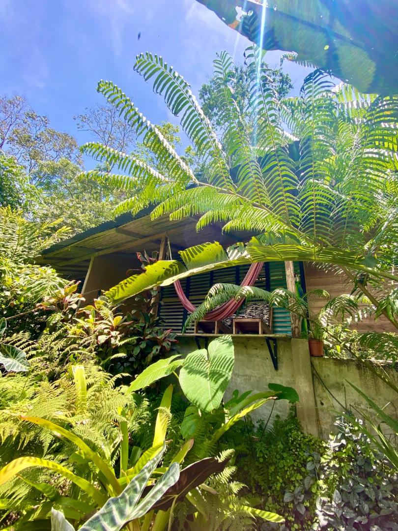 La Shamana Ecolodge