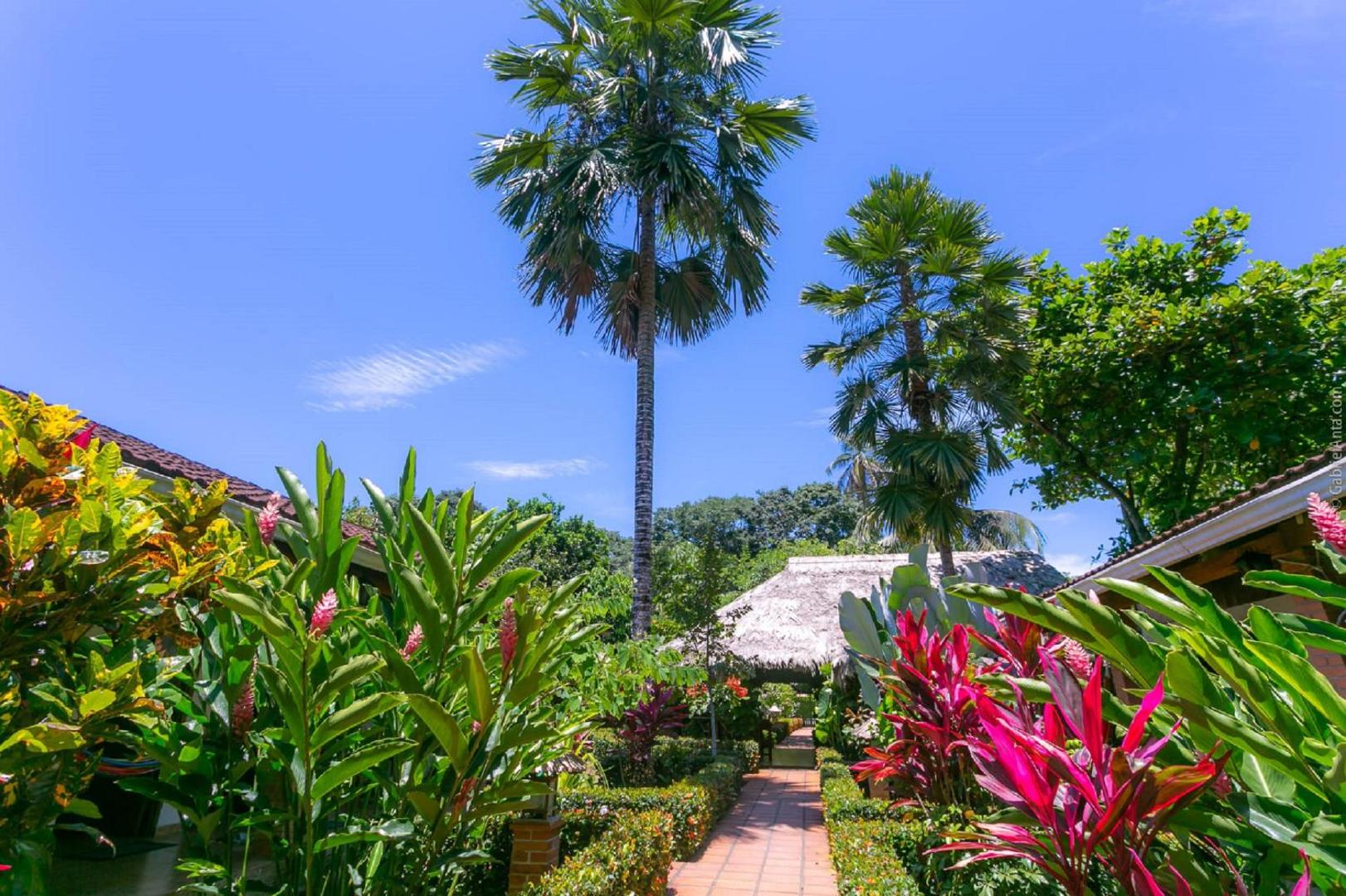 Hotel Escape Caribeno