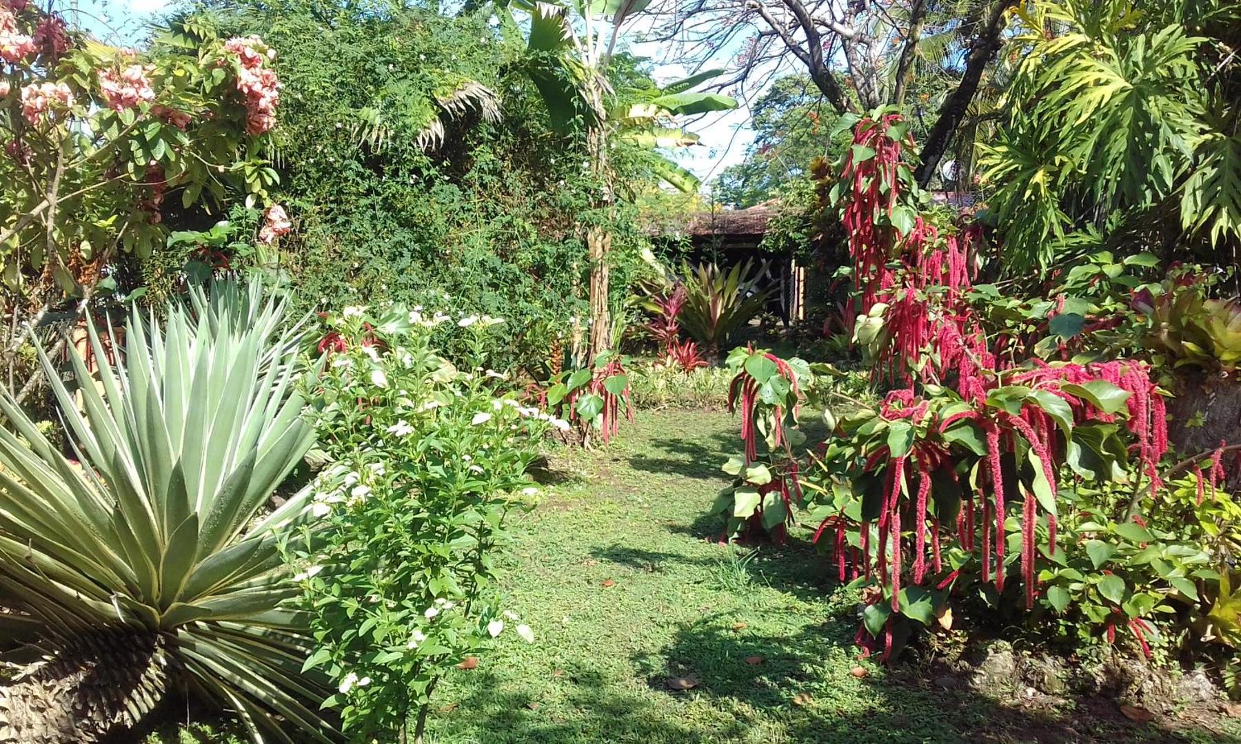 Hotel Escape Caribeno