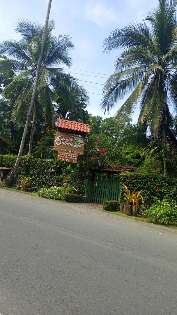 Hotel Escape Caribeno