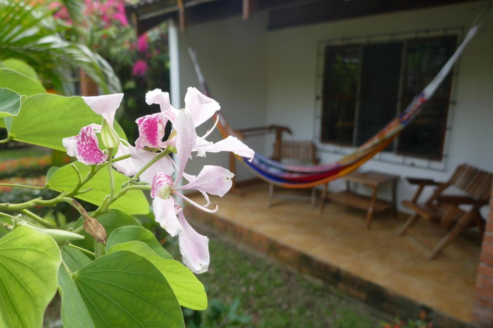 Hotel Escape Caribeno