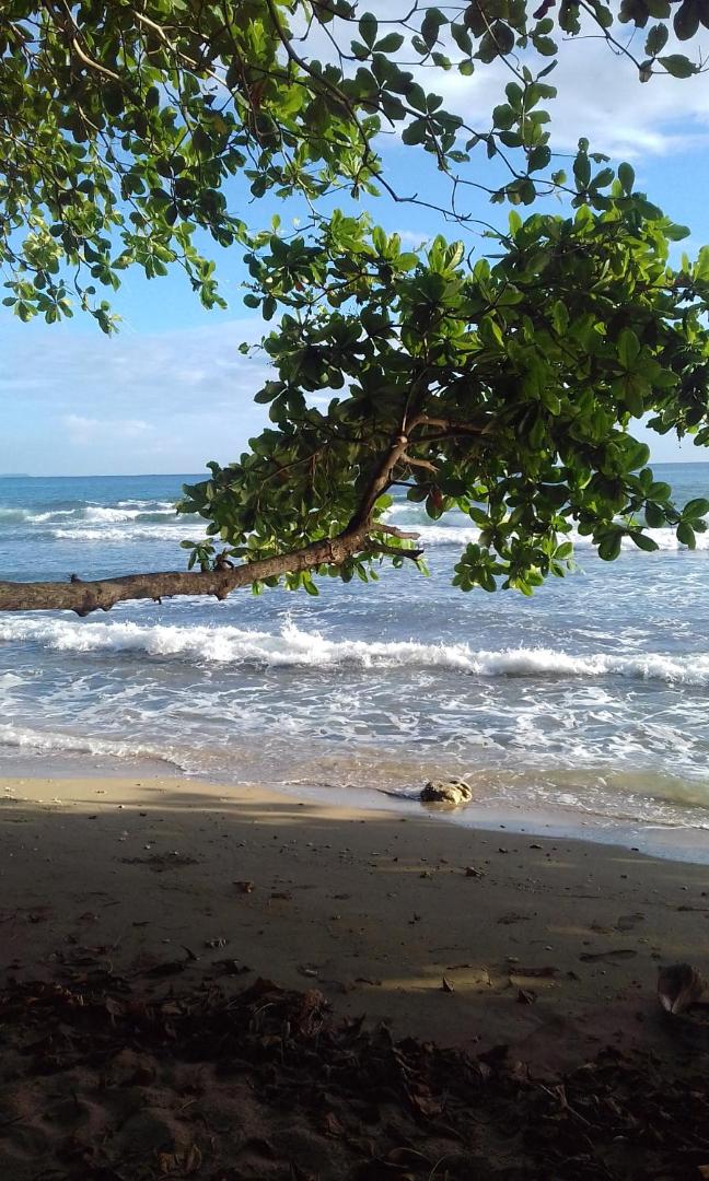 Hotel Escape Caribeno