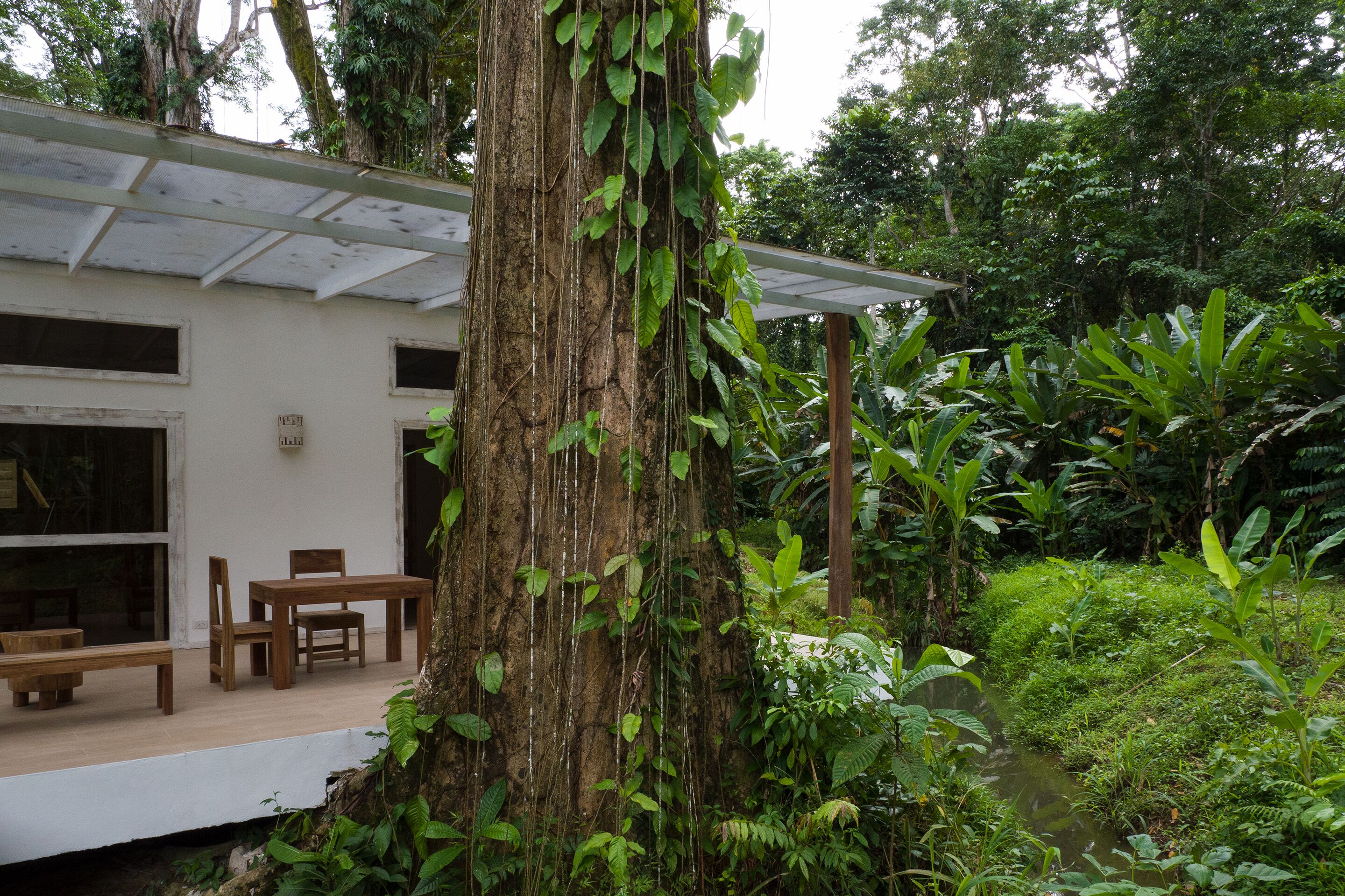Sonora Jungle & Yoga Retreat