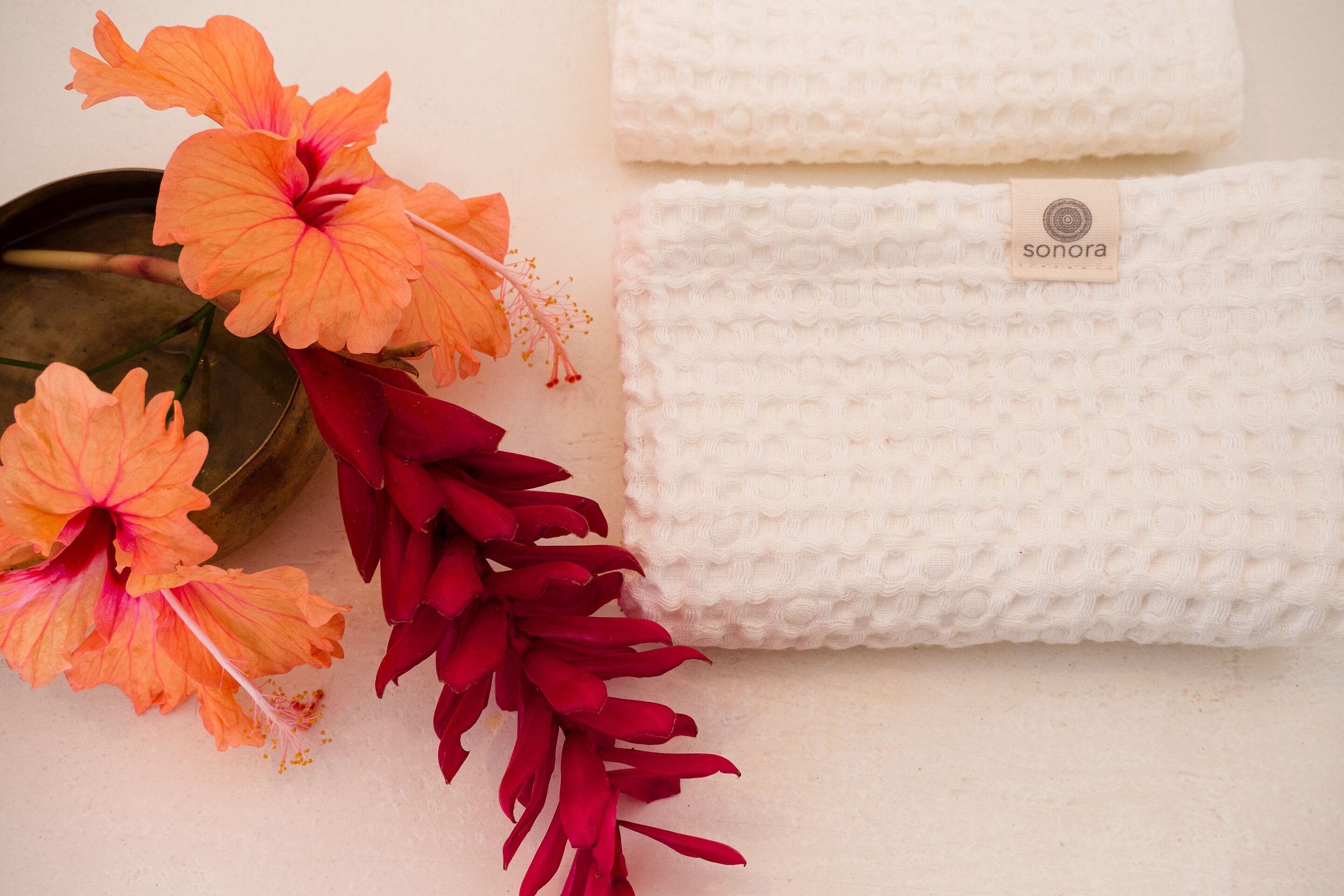 Sonora Jungle & Yoga Retreat