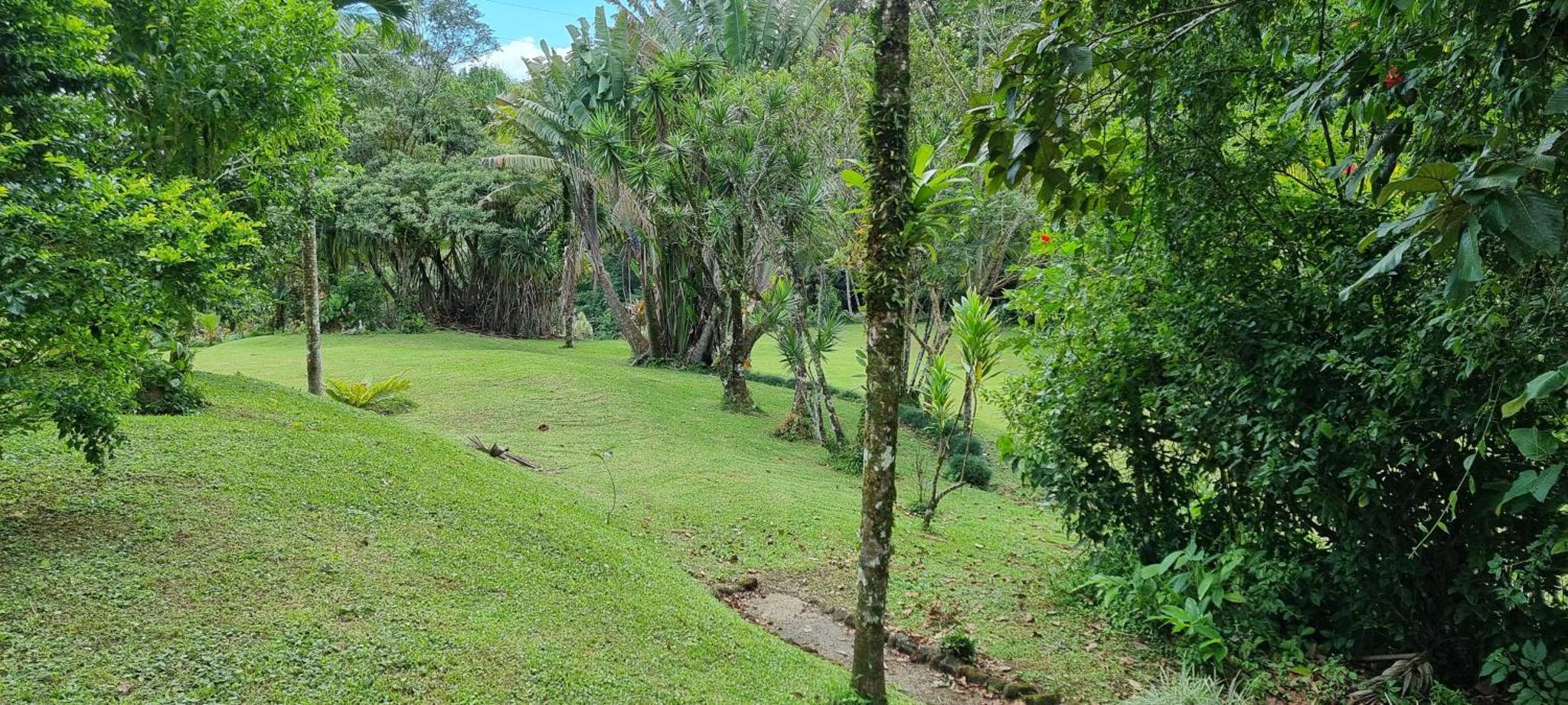 Hotel La Rana de Arenal