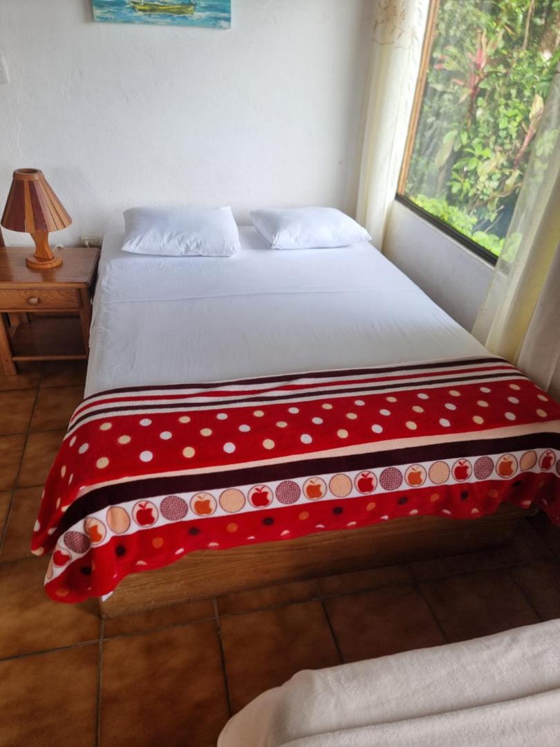 Hotel La Rana de Arenal