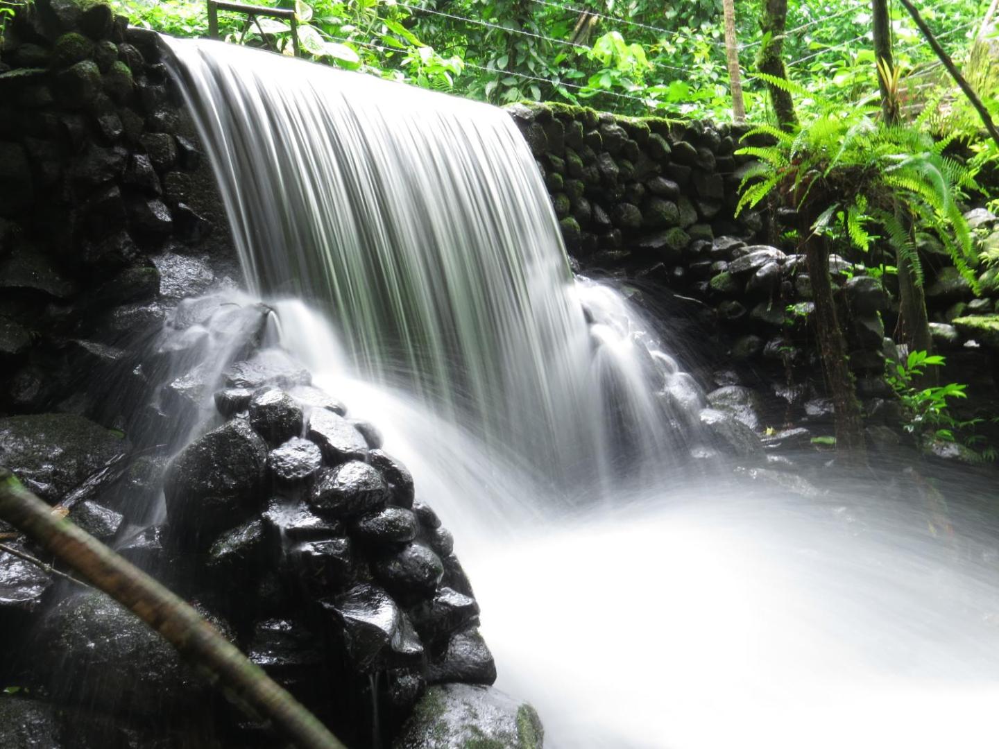 Hotel La Rana de Arenal