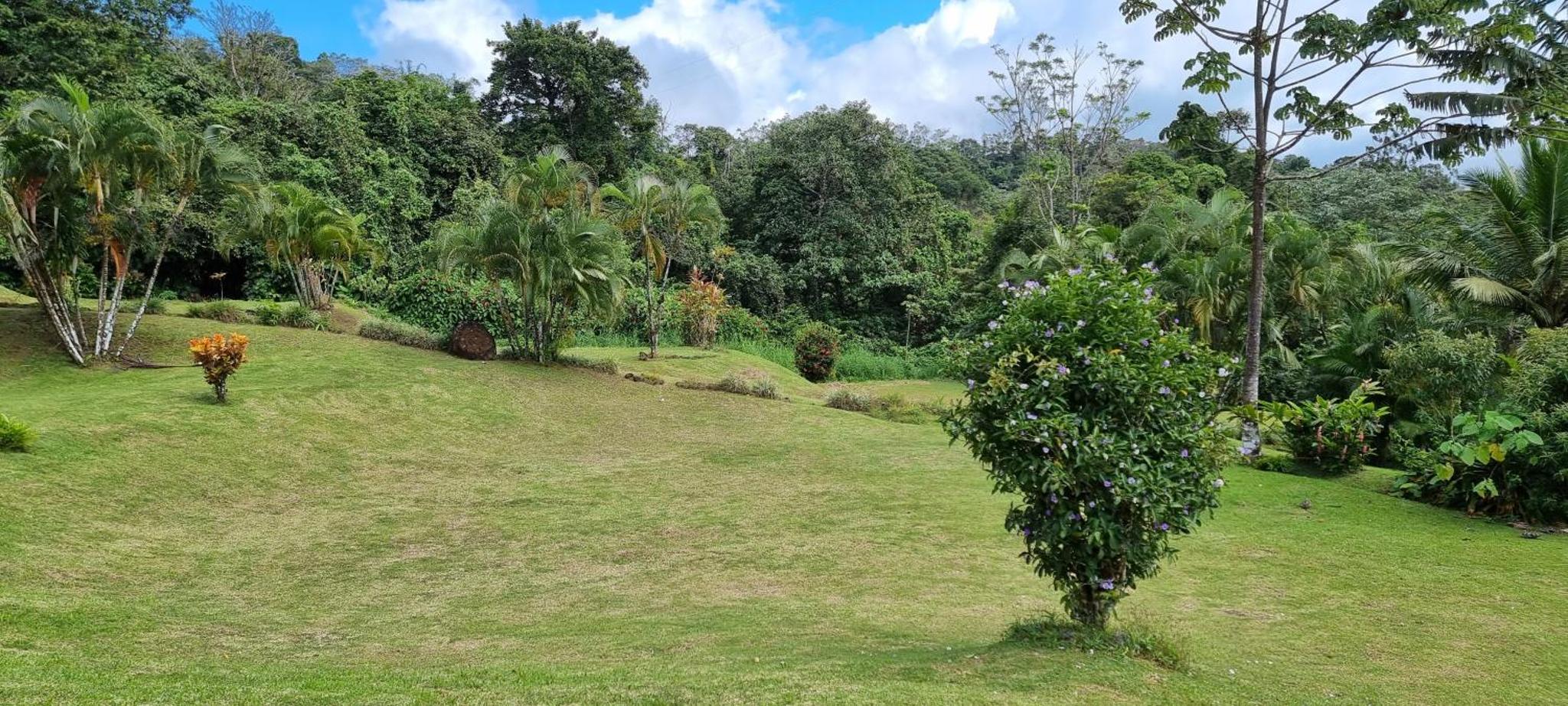 Hotel La Rana de Arenal