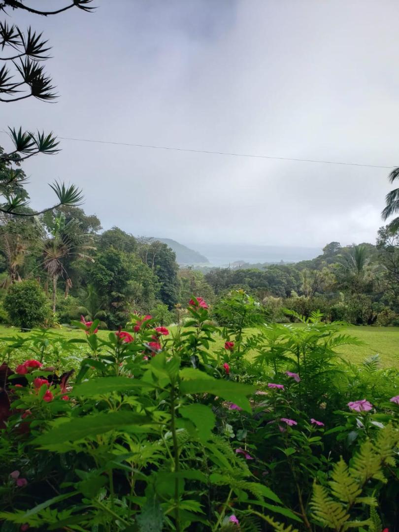 Hotel La Rana de Arenal