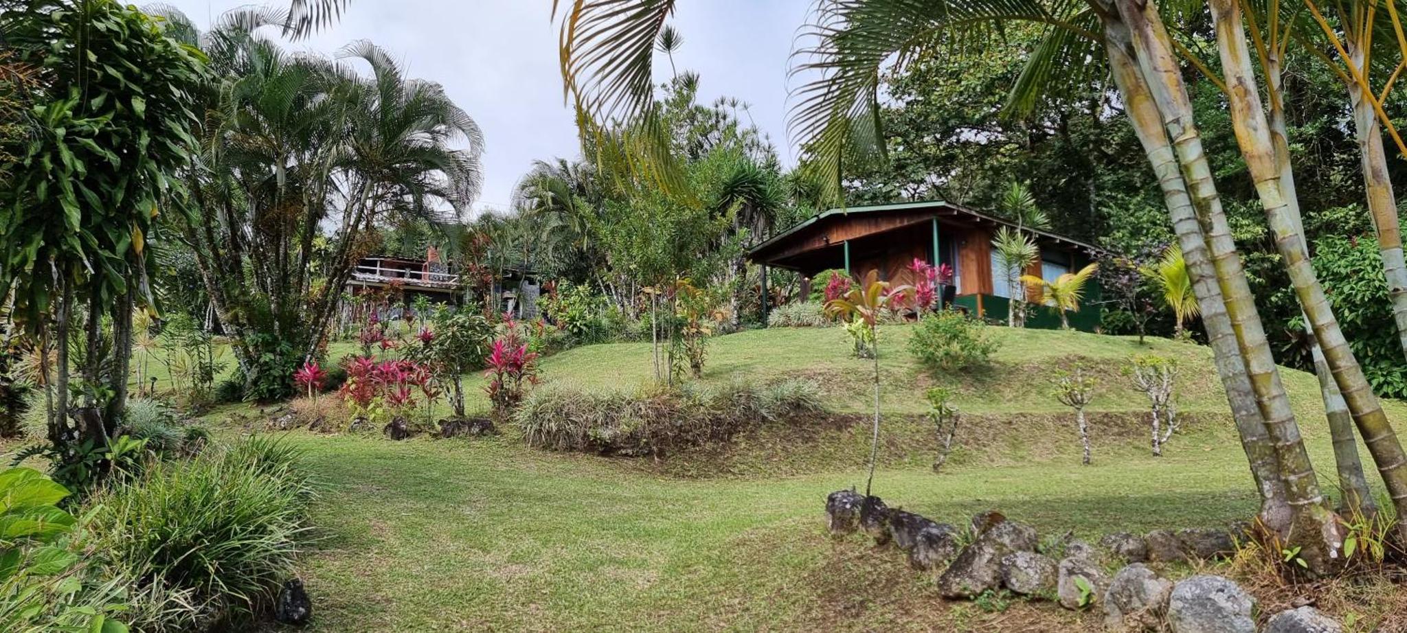 Hotel La Rana de Arenal