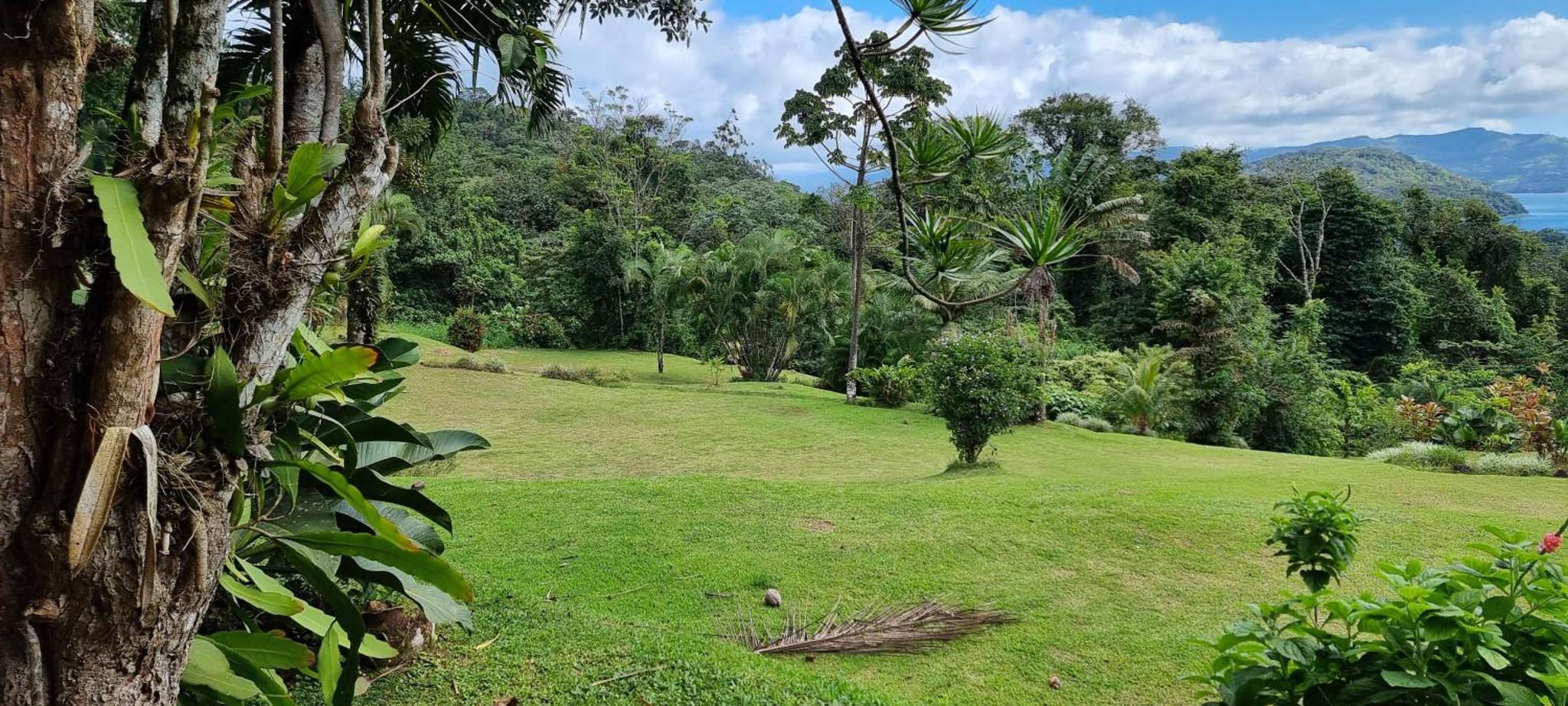 Hotel La Rana de Arenal