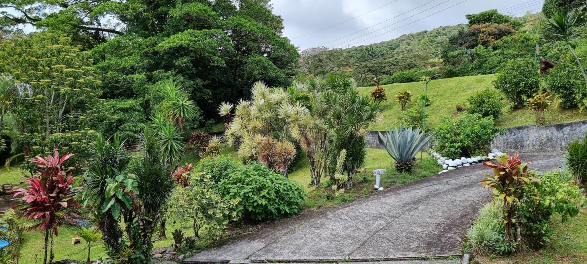 Hotel La Rana de Arenal