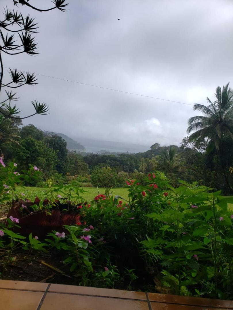 Hotel La Rana de Arenal