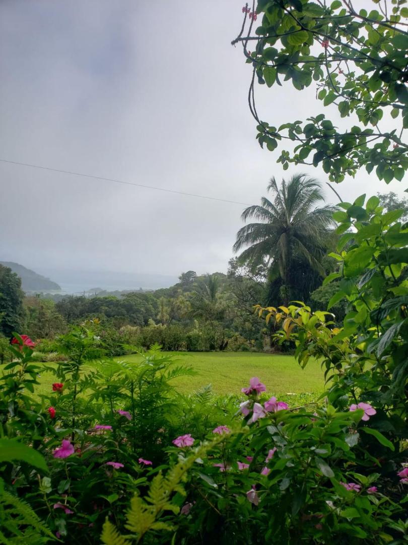 Hotel La Rana de Arenal