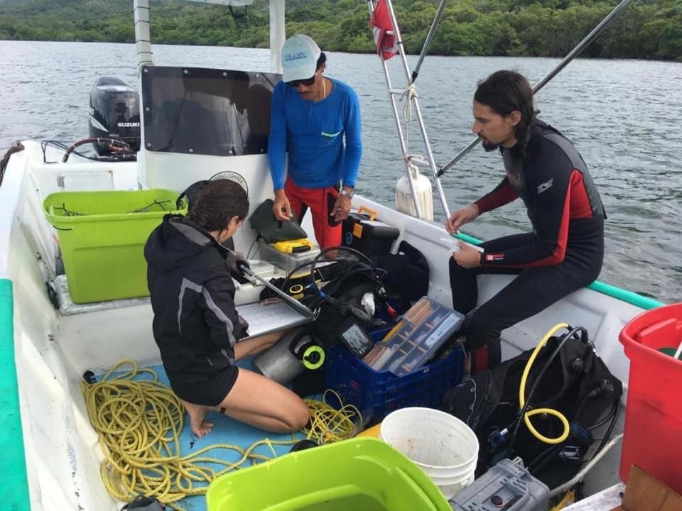 Pura Vida Private Villa