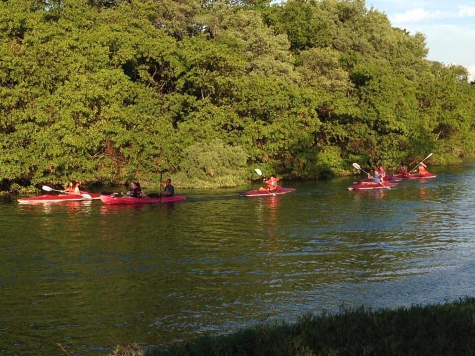 Pura Vida Private Villa