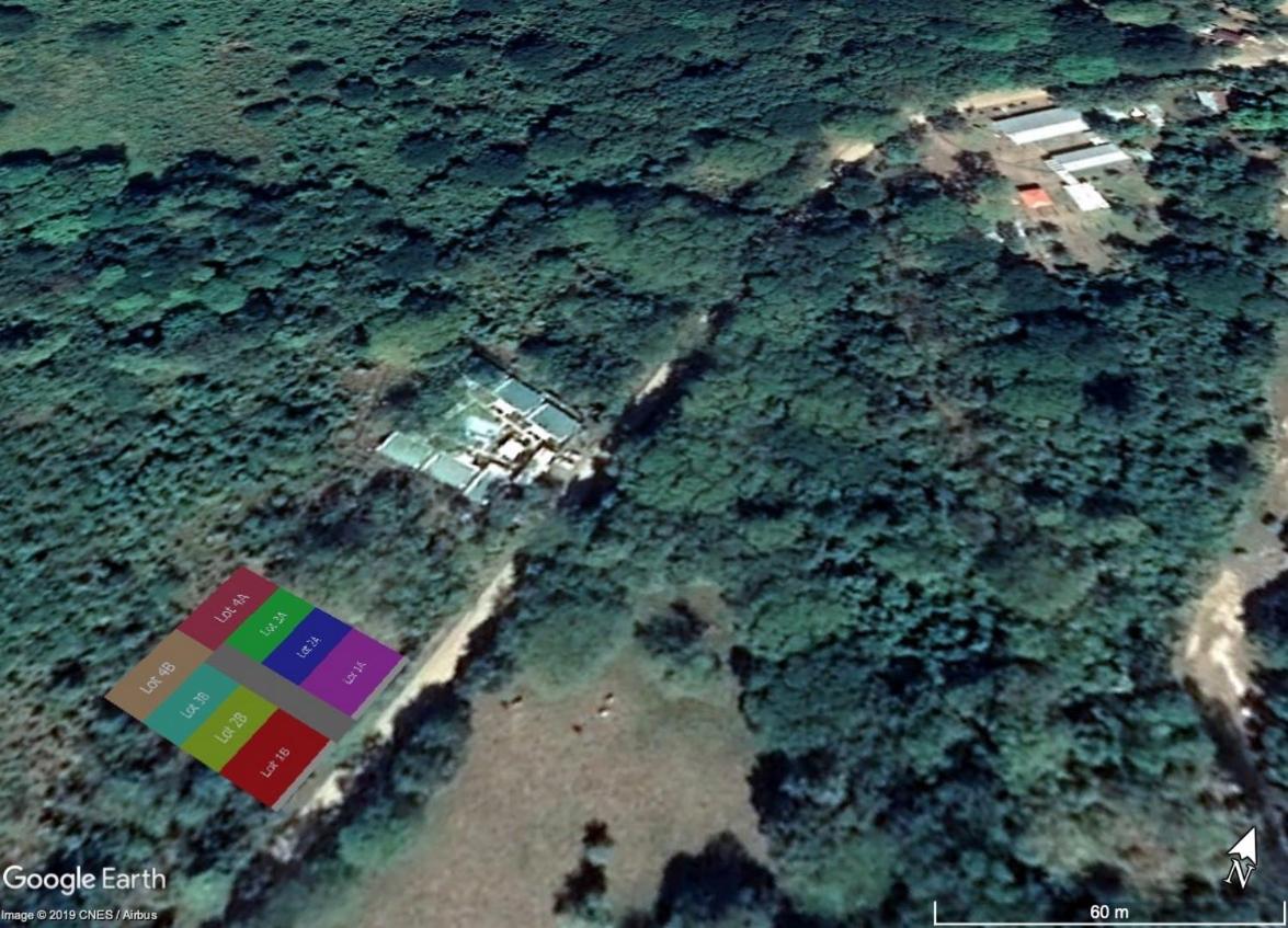 Pura Vida Private Villa