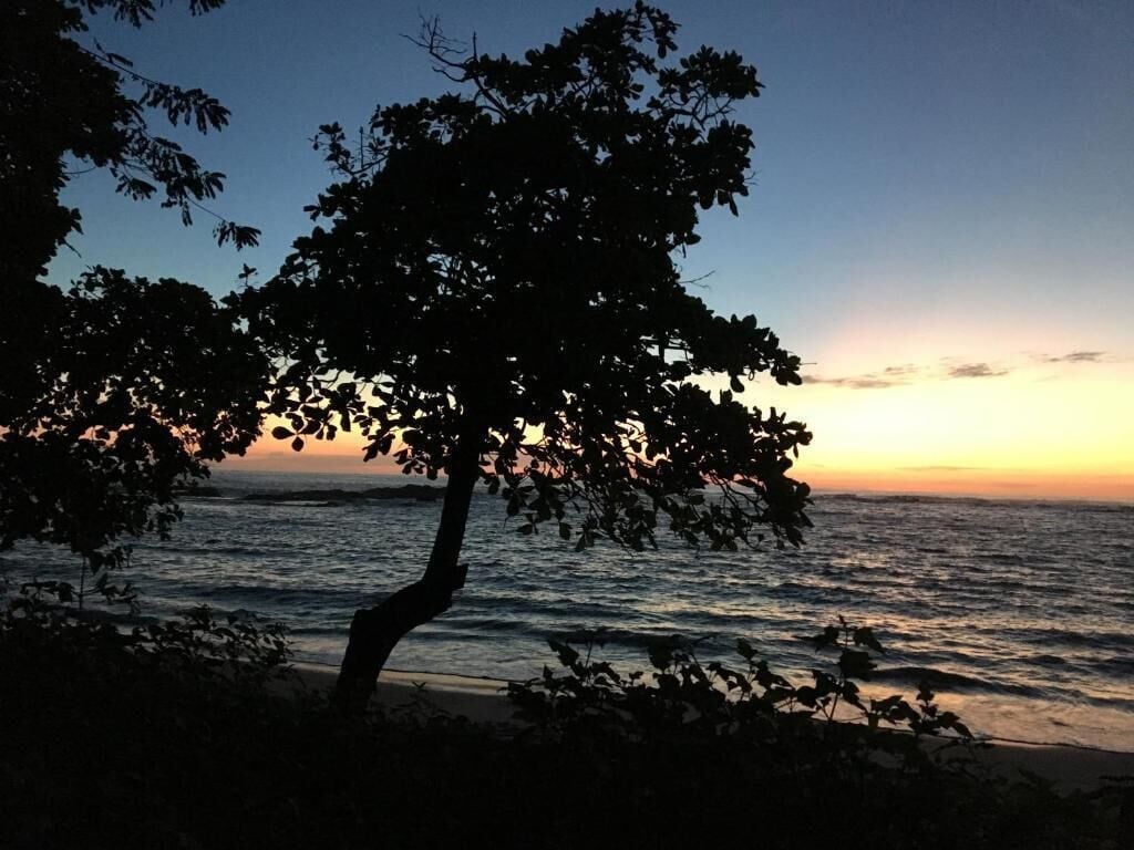 Buddha Hotel & Restaurant