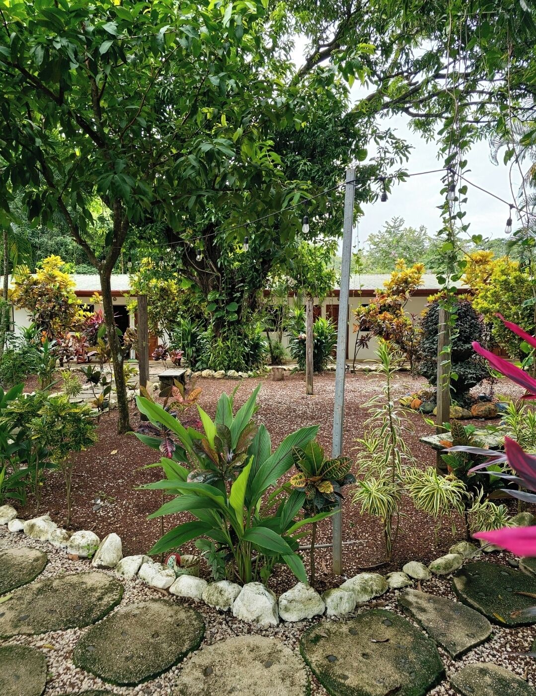 Buddha Hotel & Restaurant