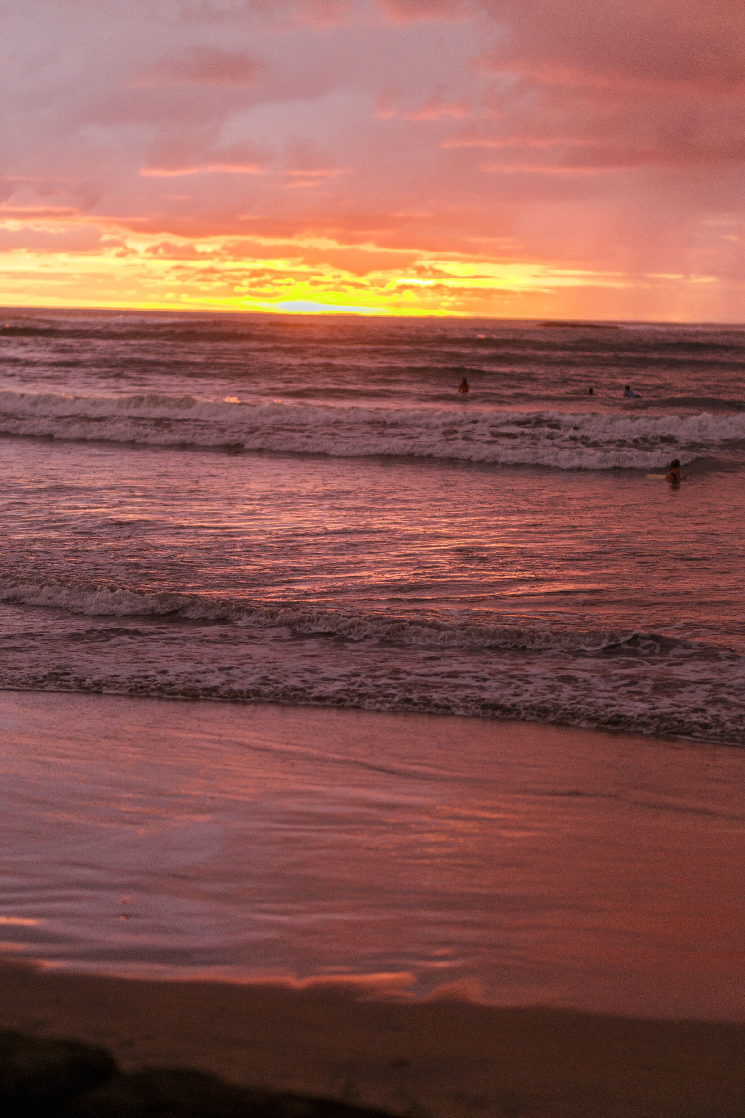 Casa Woodbine Beachfront House