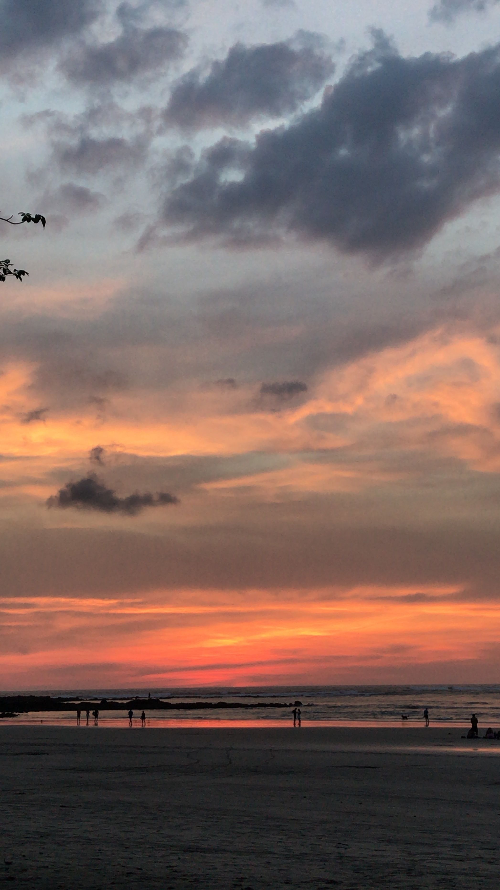 Casa Woodbine Beachfront House