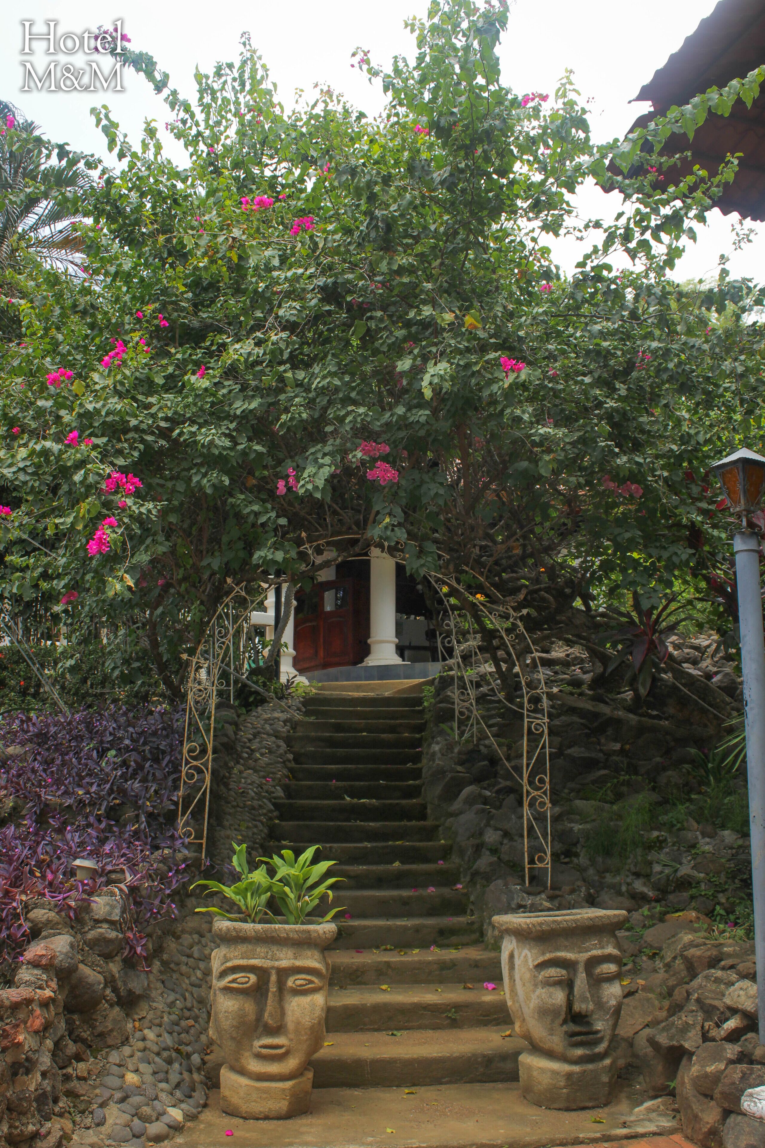 Hotel Villa Casa Blanca