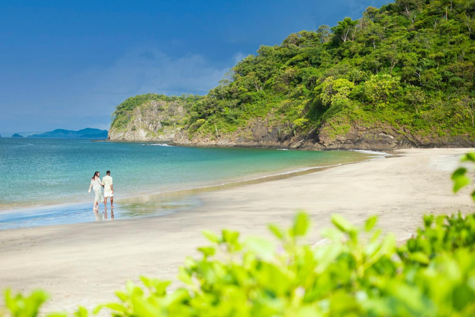 Kasiiya Papagayo