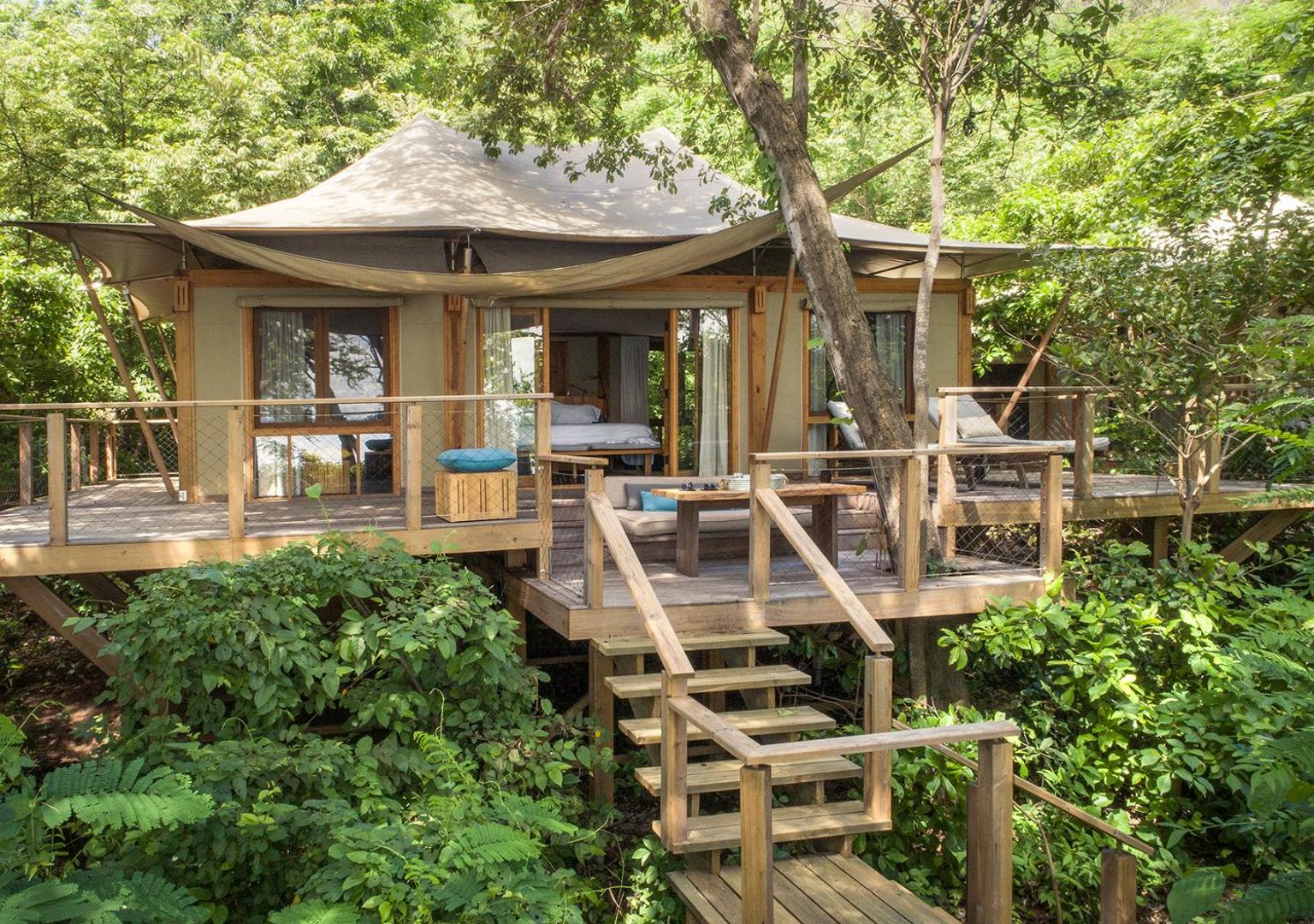Kasiiya Papagayo