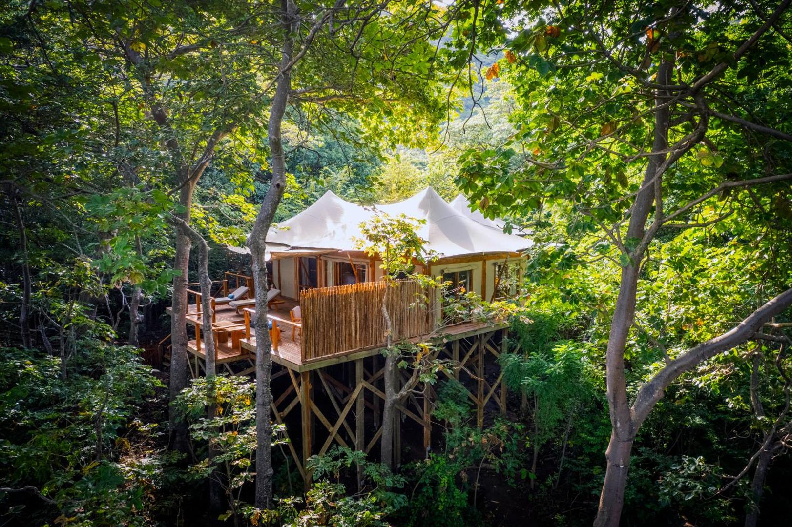 Kasiiya Papagayo