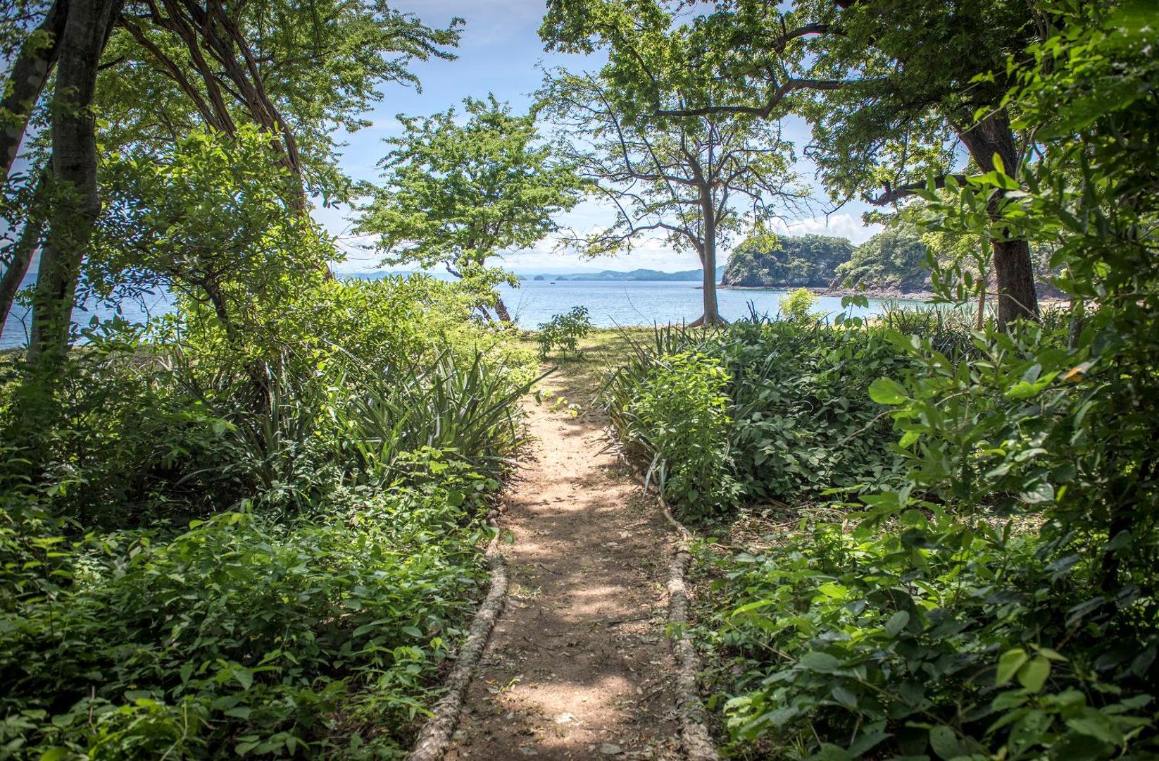 Kasiiya Papagayo