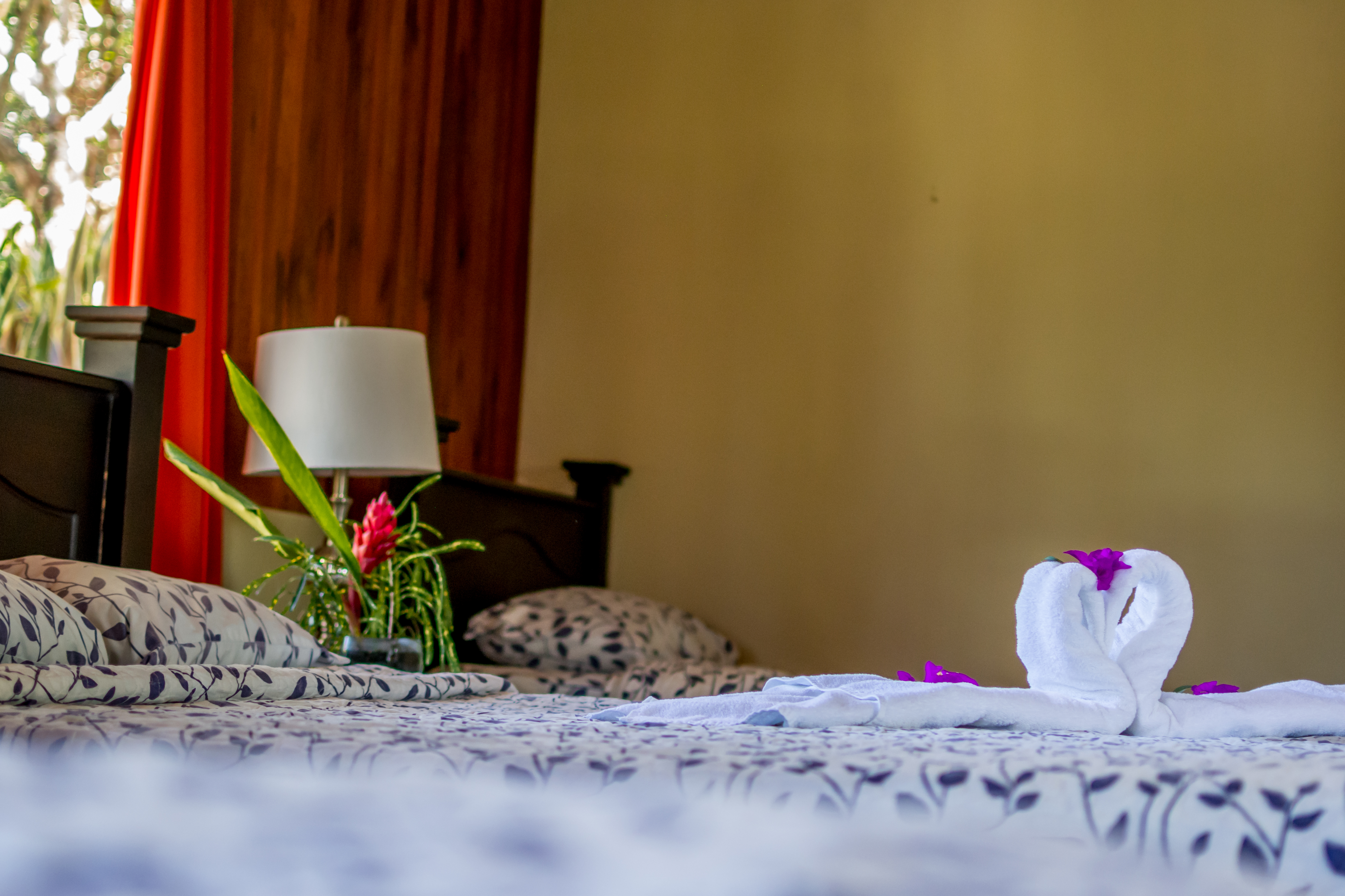 Rinconcito Lodge